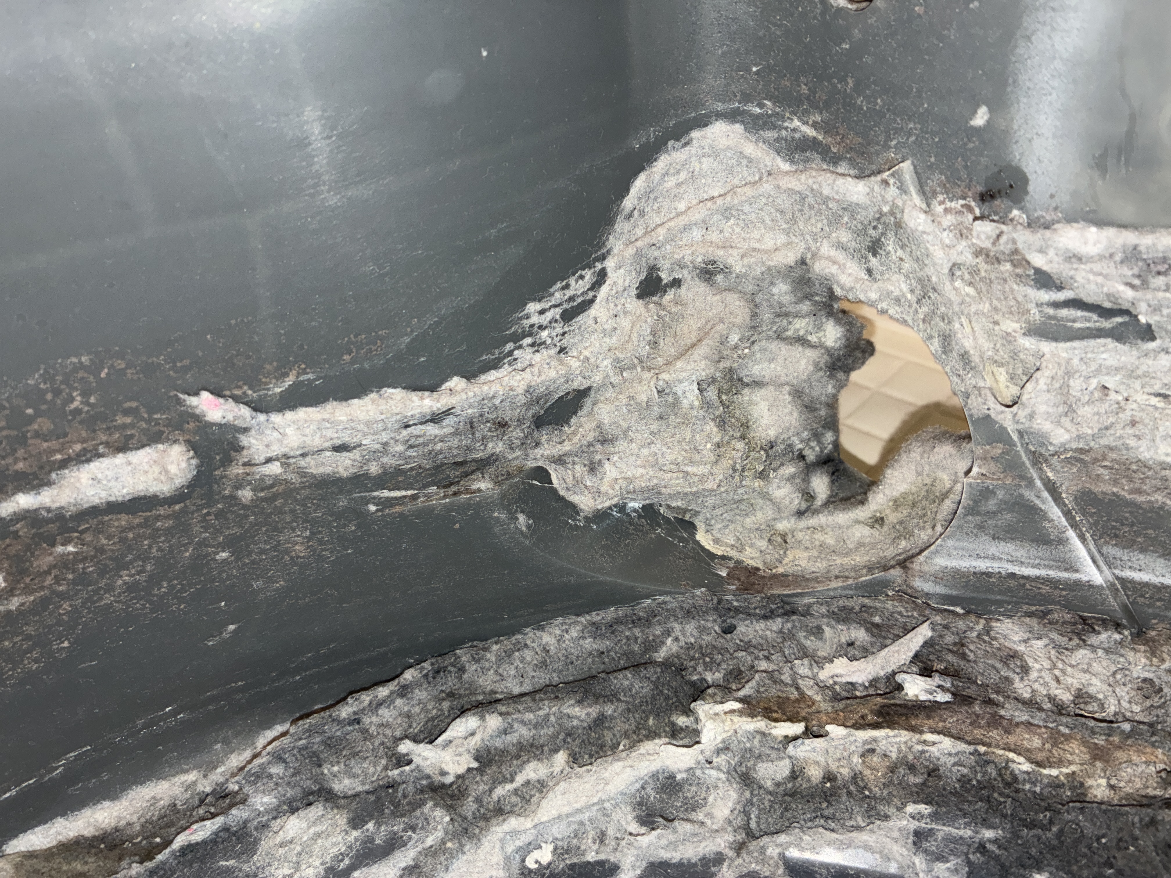 愛知県名古屋市名東区の洗濯機分解クリーニングの作業前3