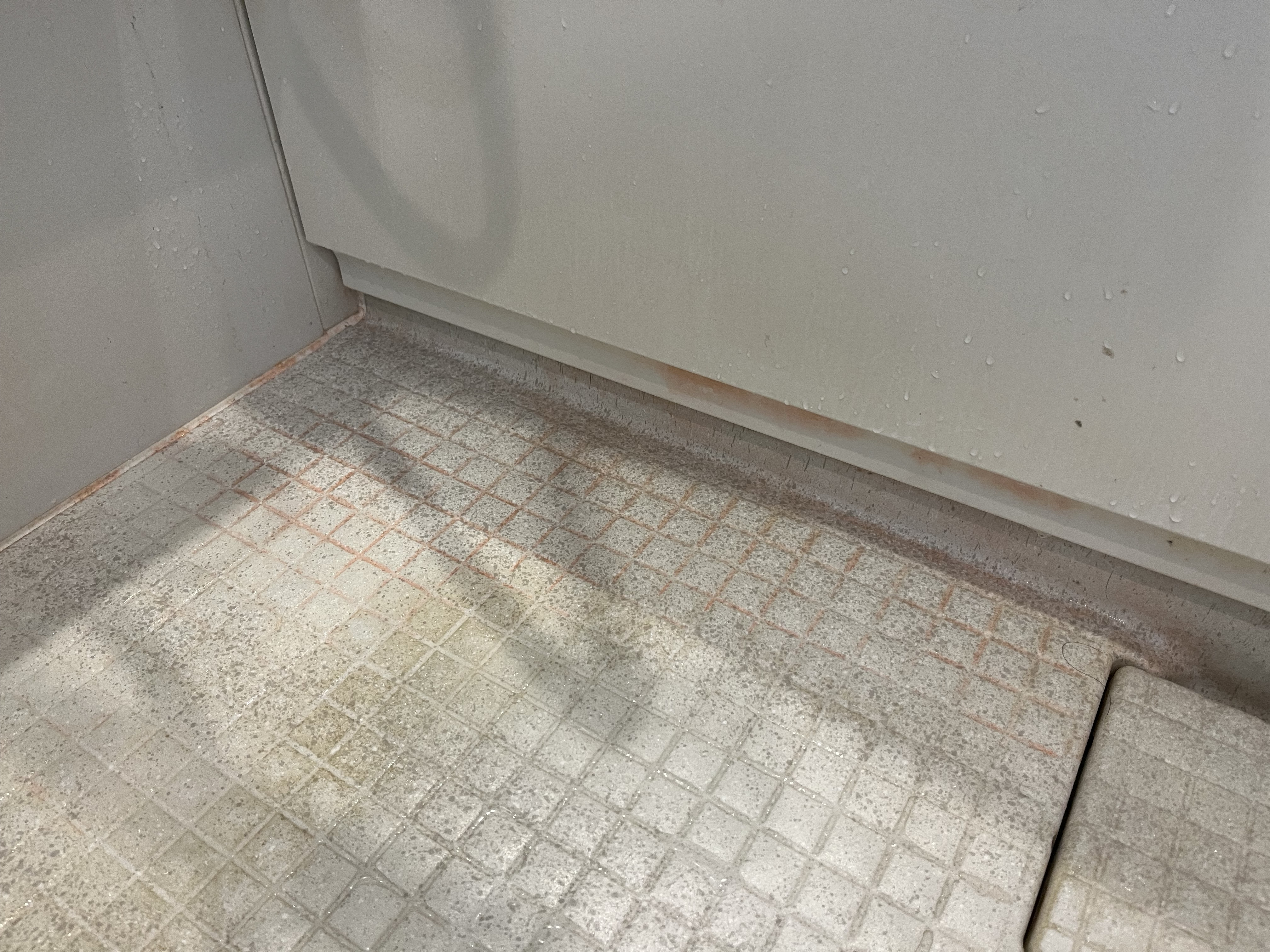 青森県弘前市の浴室・お風呂クリーニングの作業前1