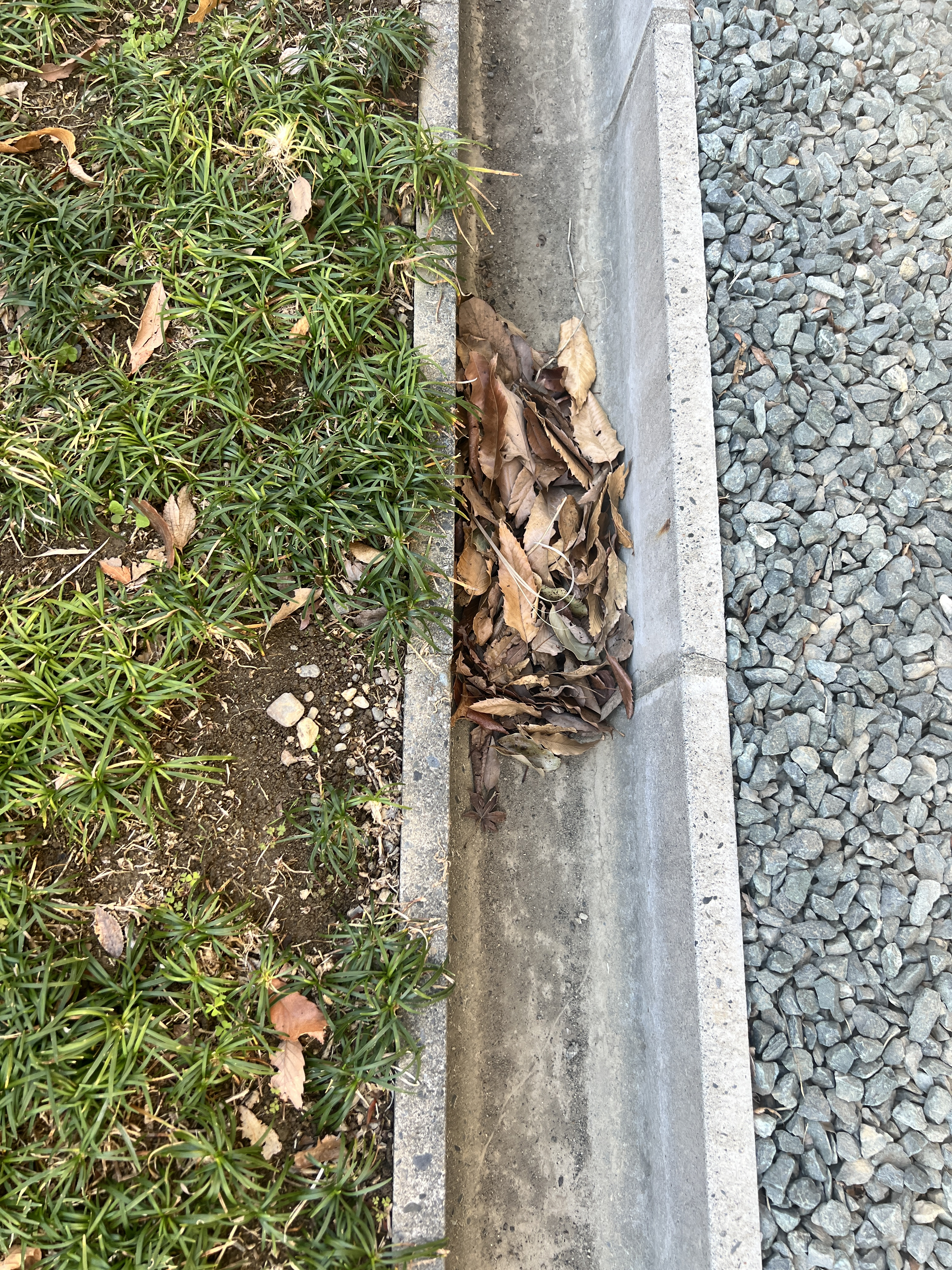 静岡県掛川市のビル・マンション共用部清掃の作業前1