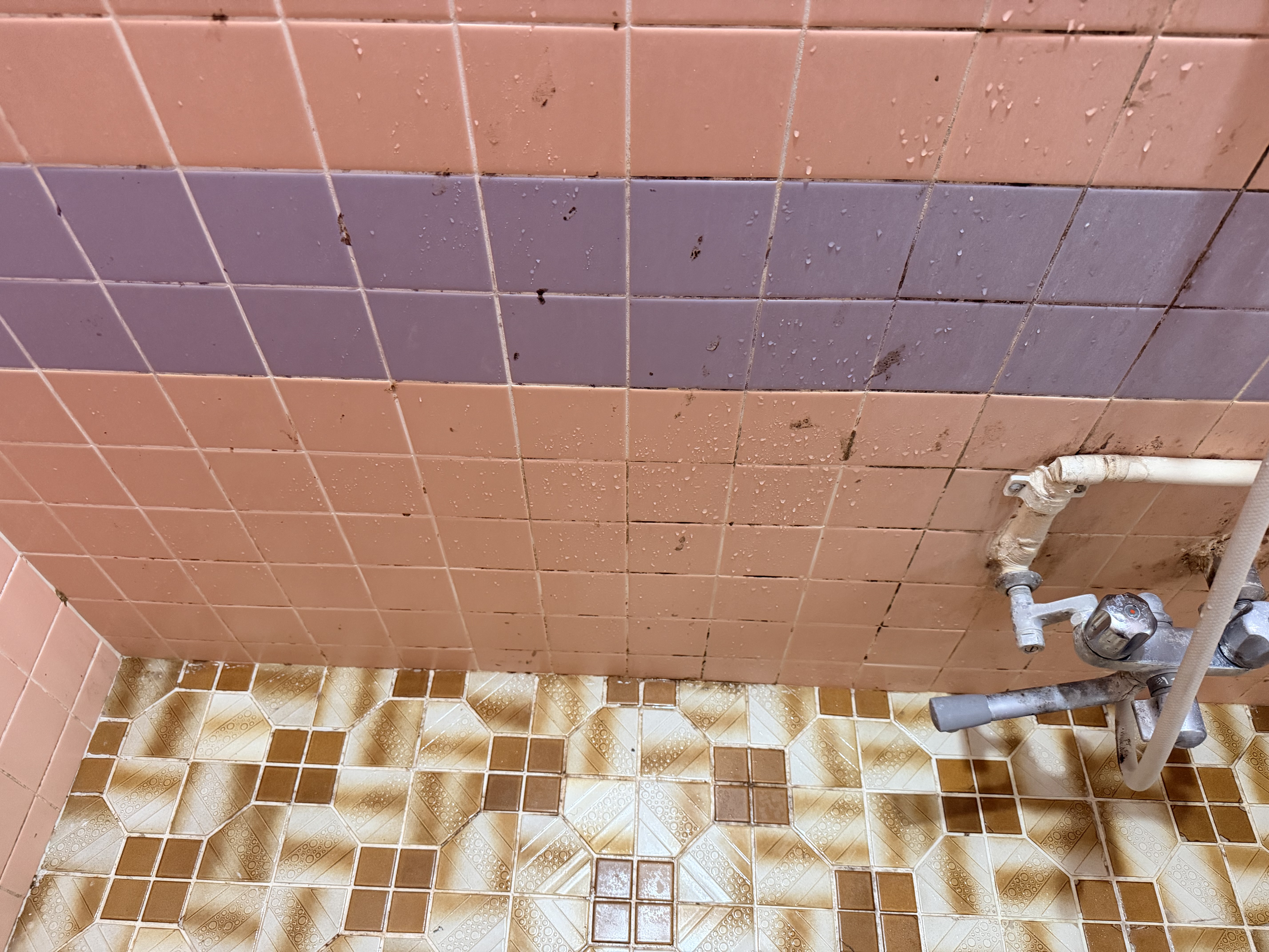 千葉県木更津市清見台の浴室・お風呂クリーニングの作業前2