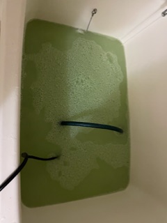 東京都世田谷区玉川の追い焚き配管除菌洗浄の作業後1