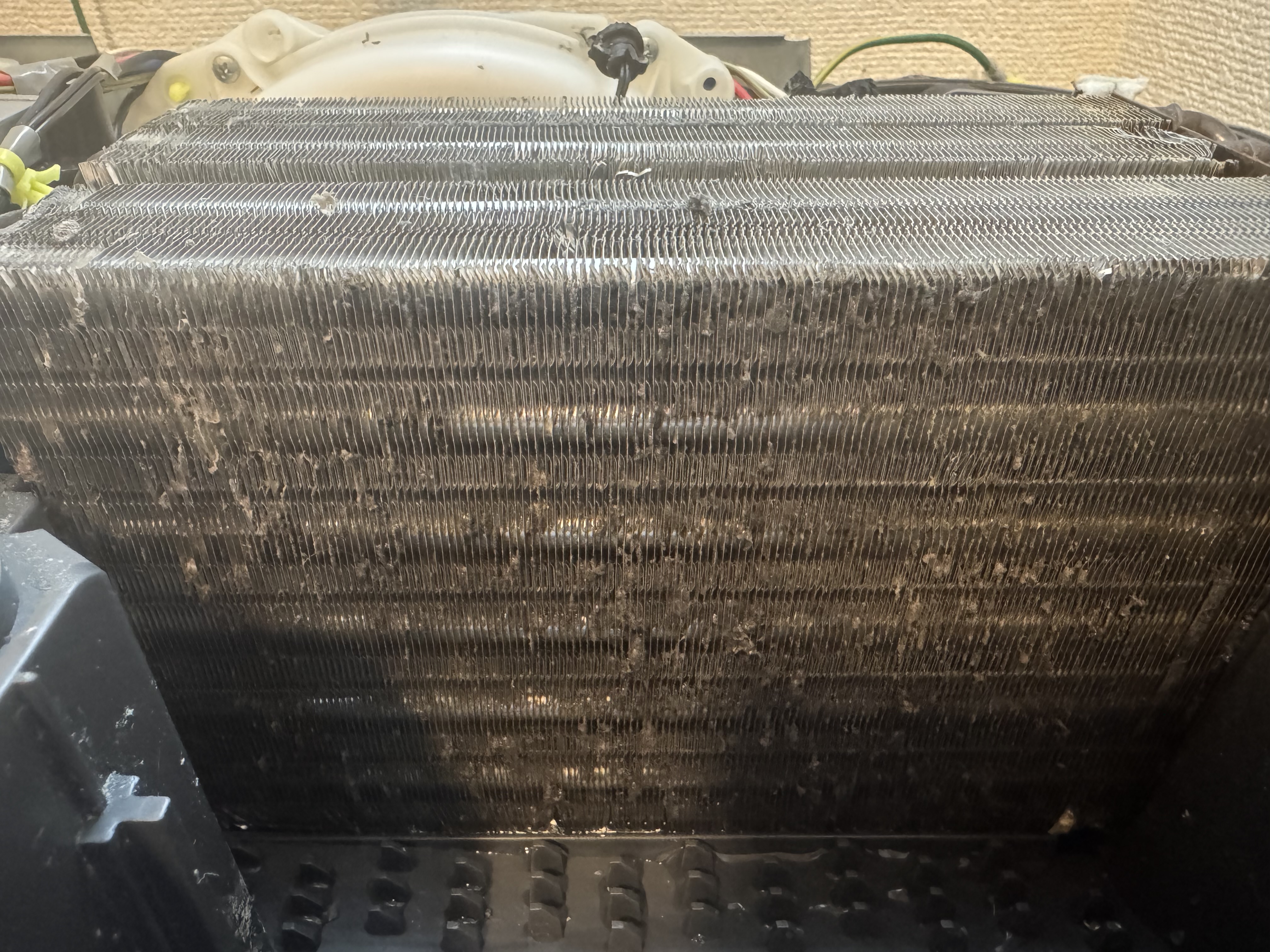 東京都足立区六町の洗濯機分解クリーニングの作業後2