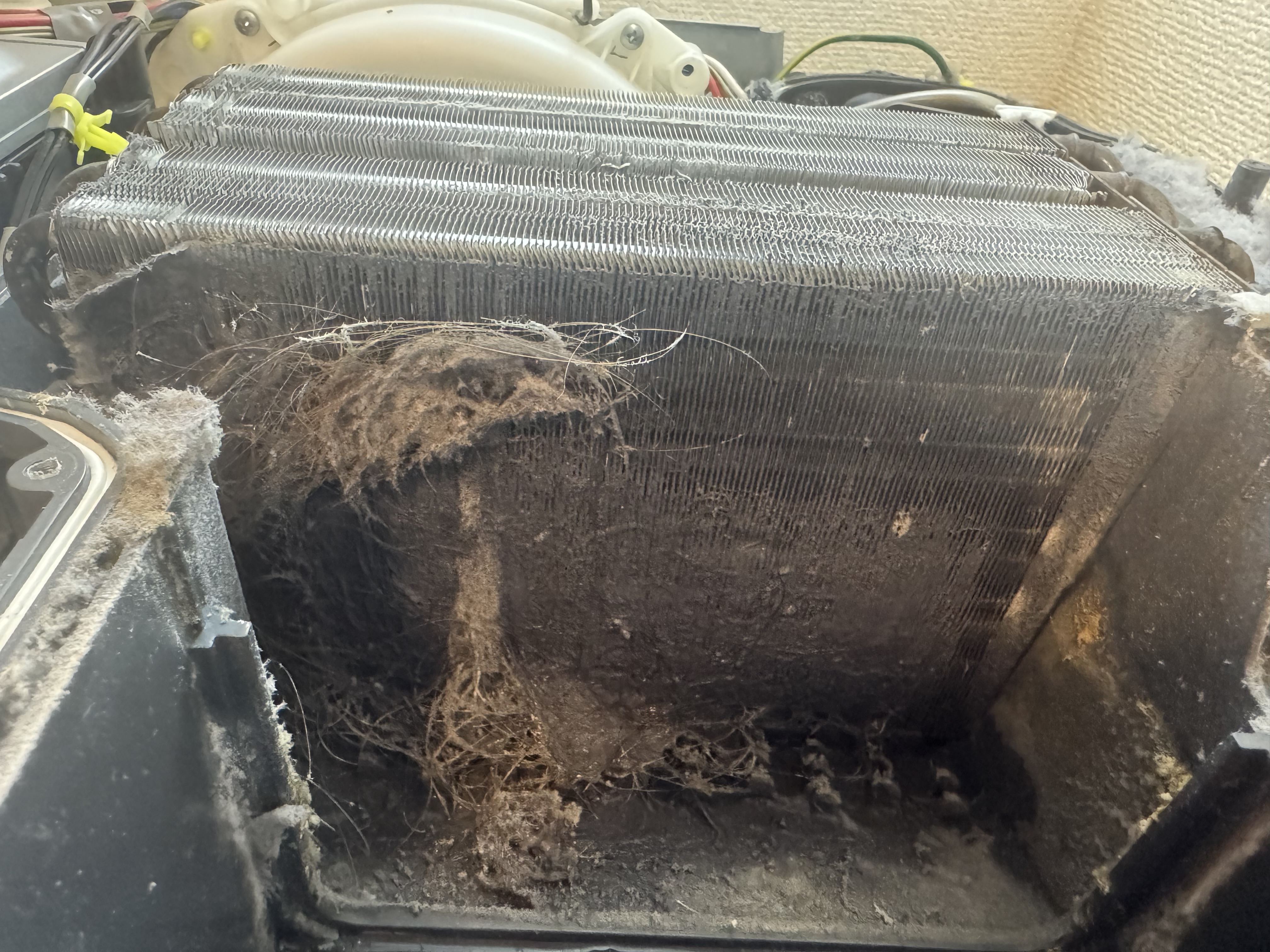 東京都足立区六町の洗濯機分解クリーニングの作業前2