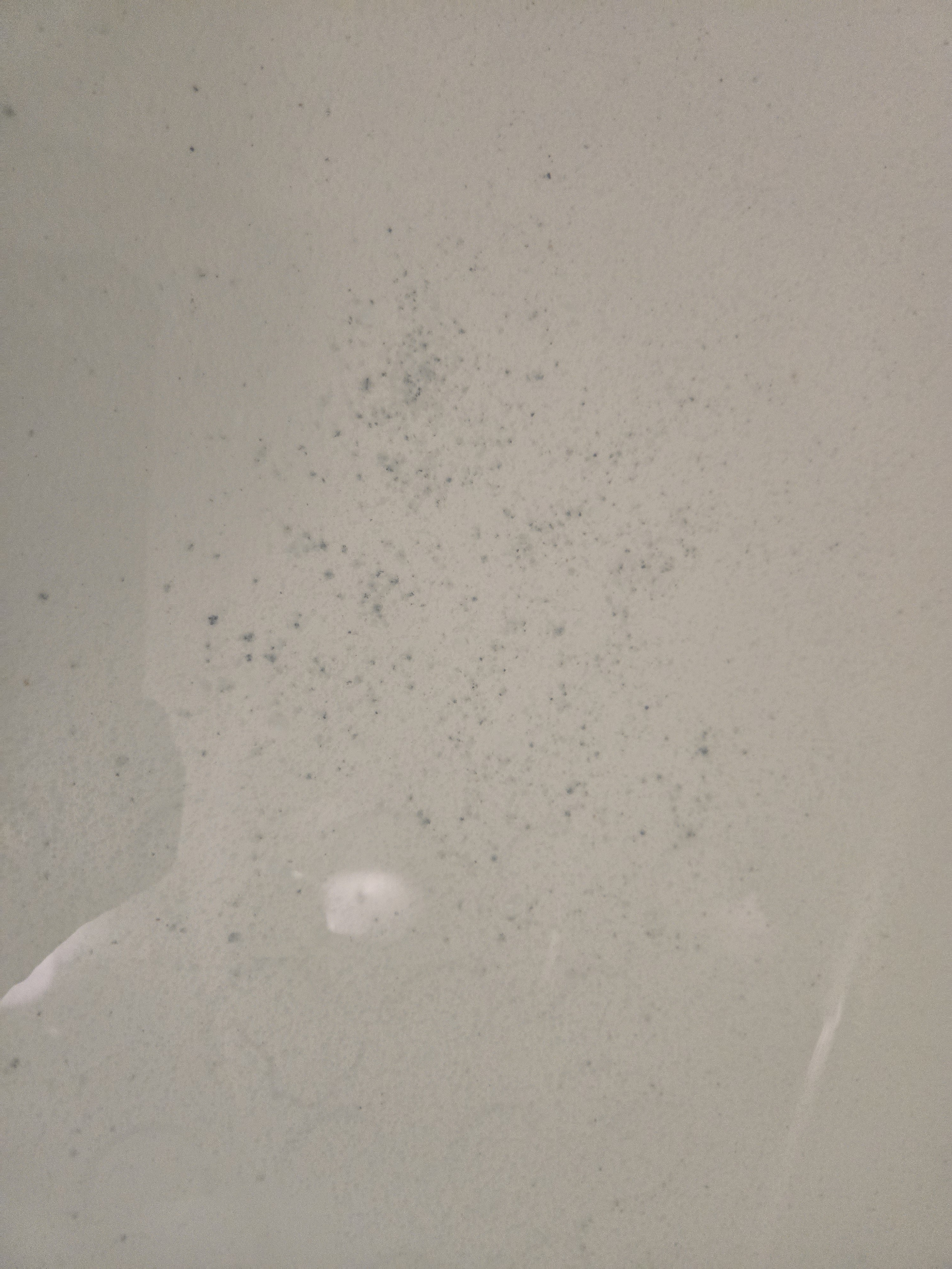 東京都八王子市の浴室・お風呂クリーニングの作業後3