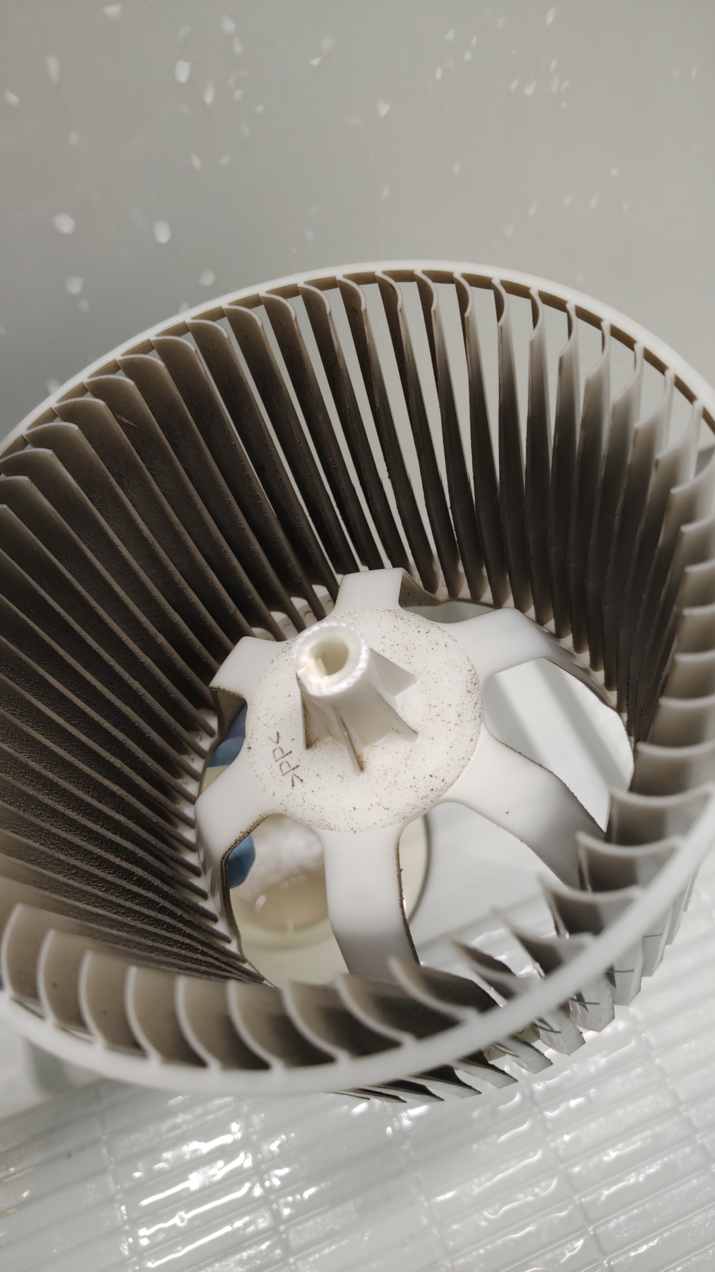 東京都清瀬市の中古住宅購入後の徹底クリーニングの作業前3