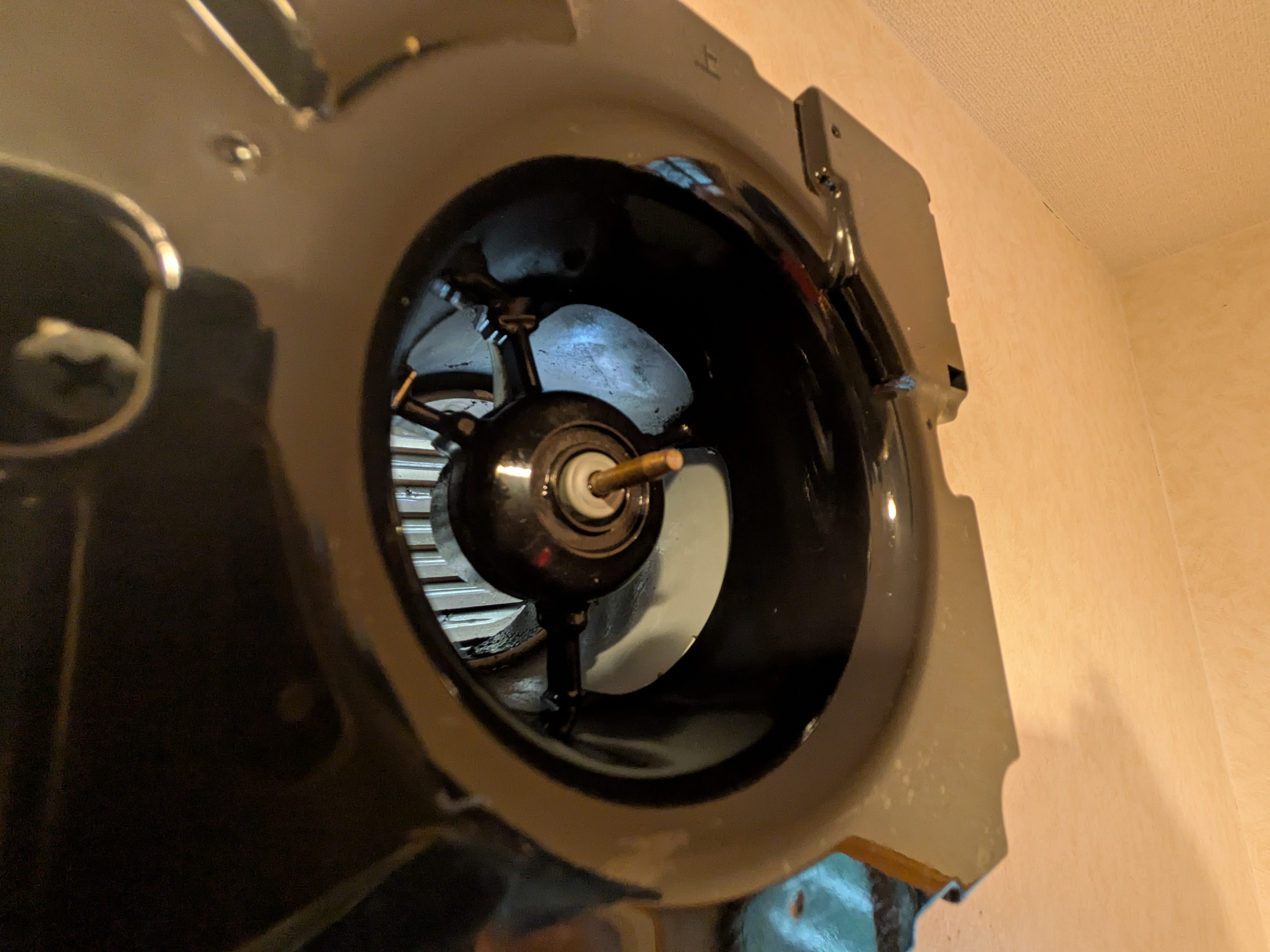 東京都品川区中延の賃貸住宅退去後の原状回復クリーニングの作業後2