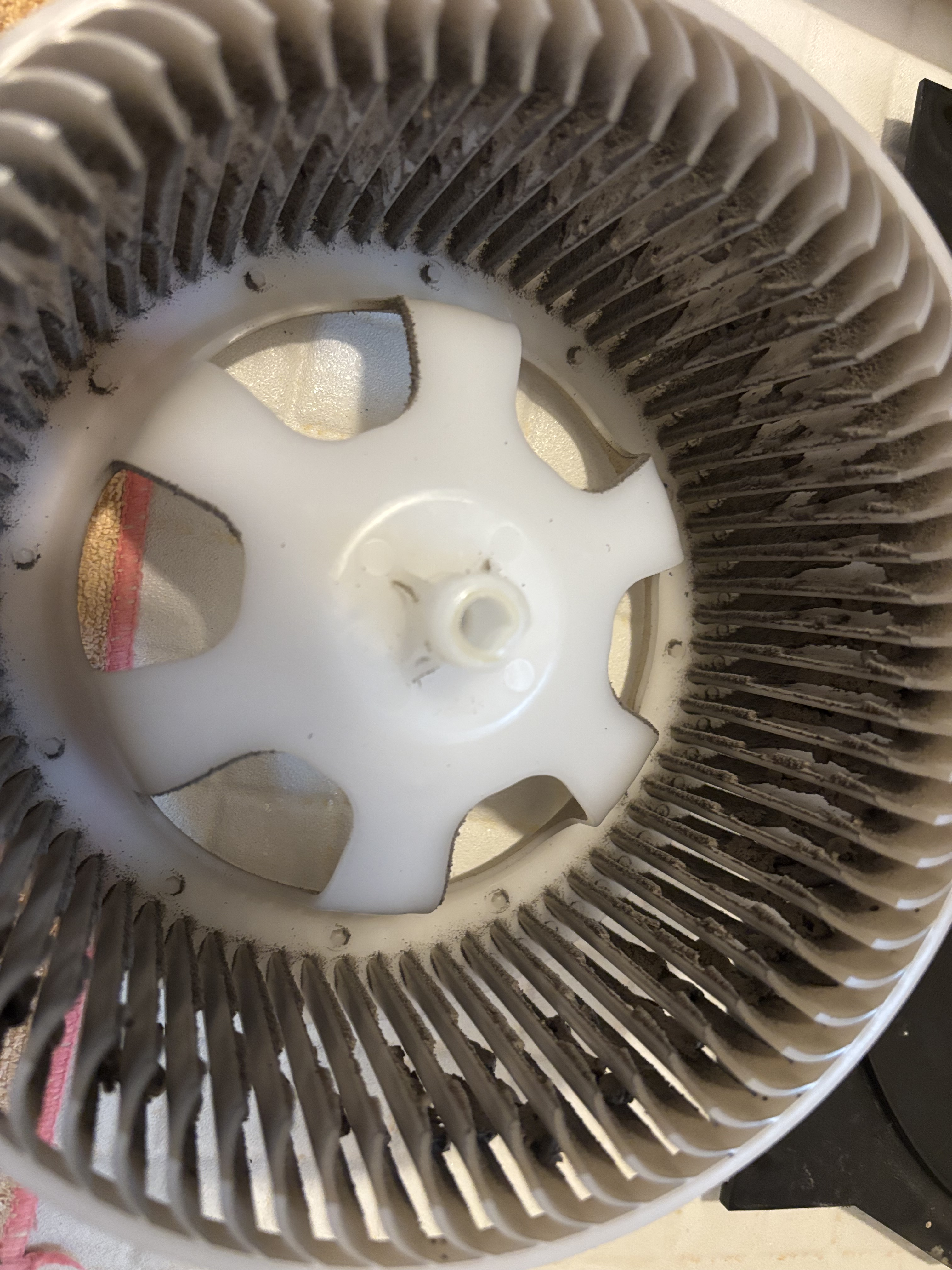 埼玉県朝霞市の浴室乾燥機クリーニングの作業前1