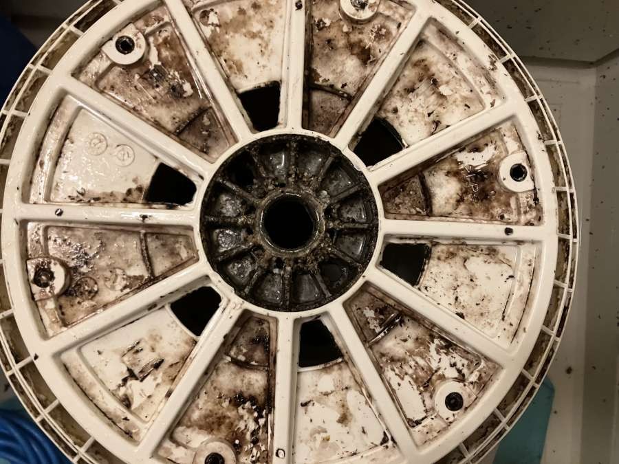 東京都江戸川区東葛西の洗濯機分解クリーニングの作業前1