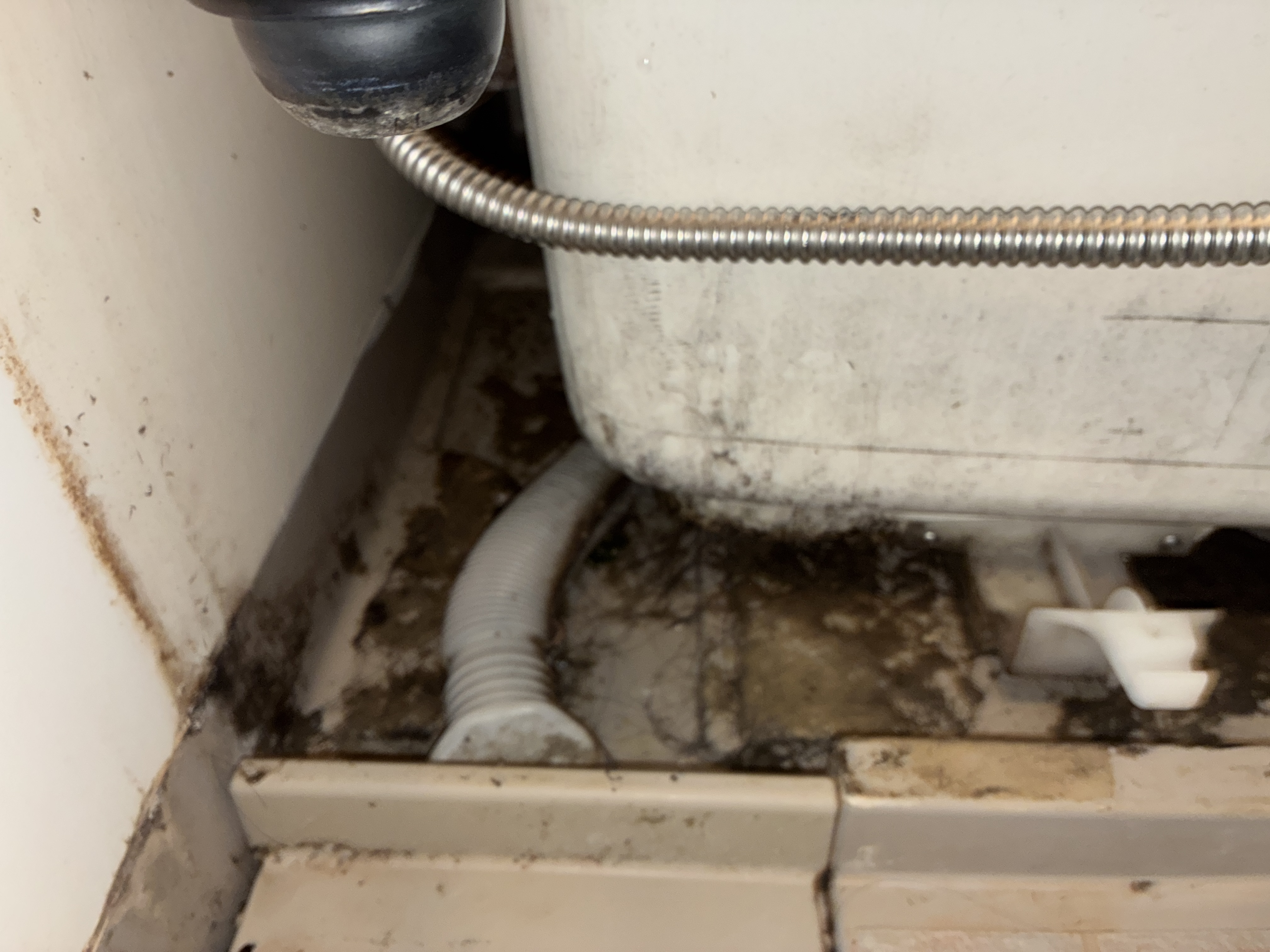 愛知県名古屋市千種区自由が丘の浴室・お風呂クリーニングの作業前3