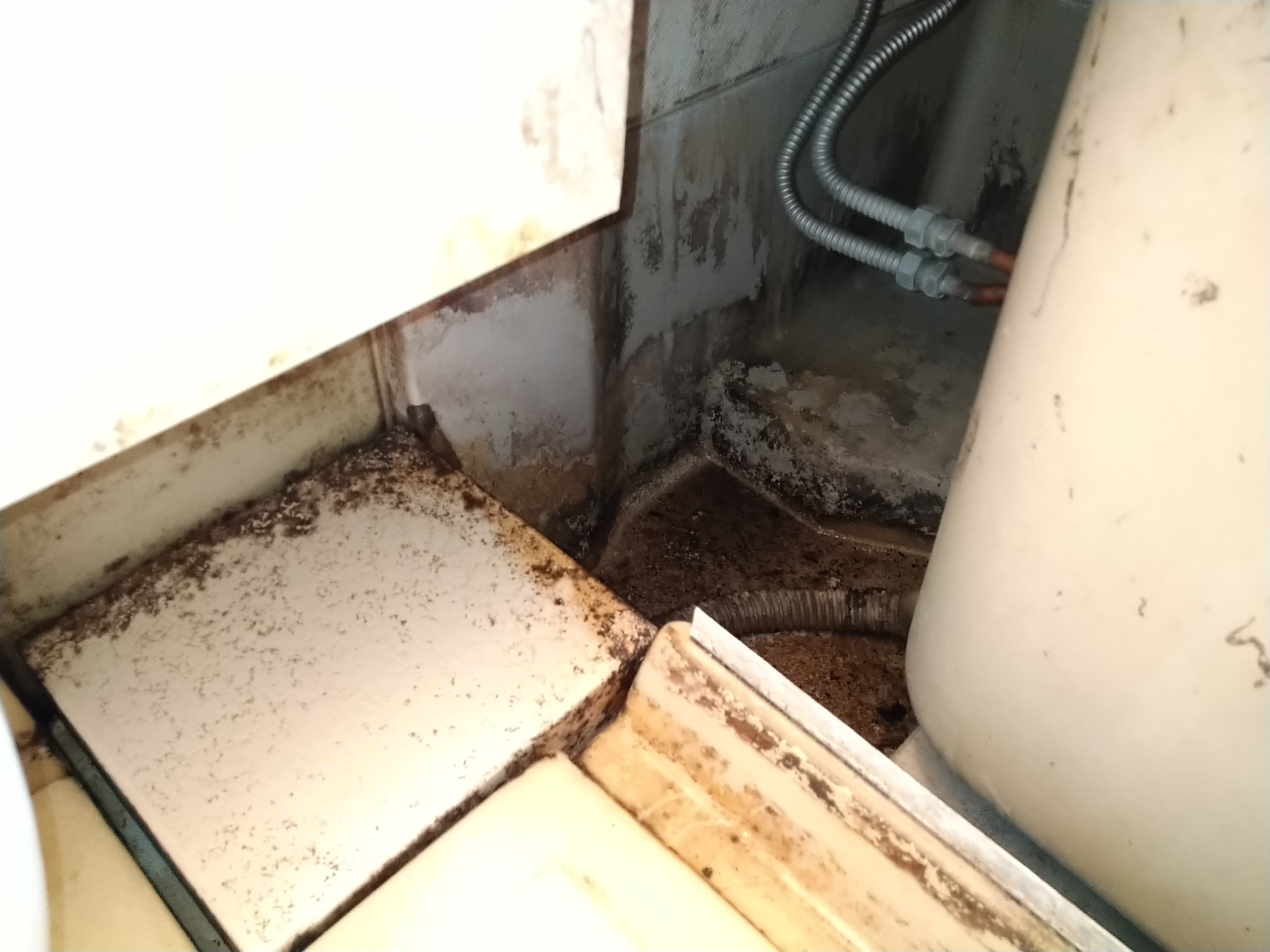 静岡県浜松市浜名区の浴室・お風呂クリーニングの作業前1