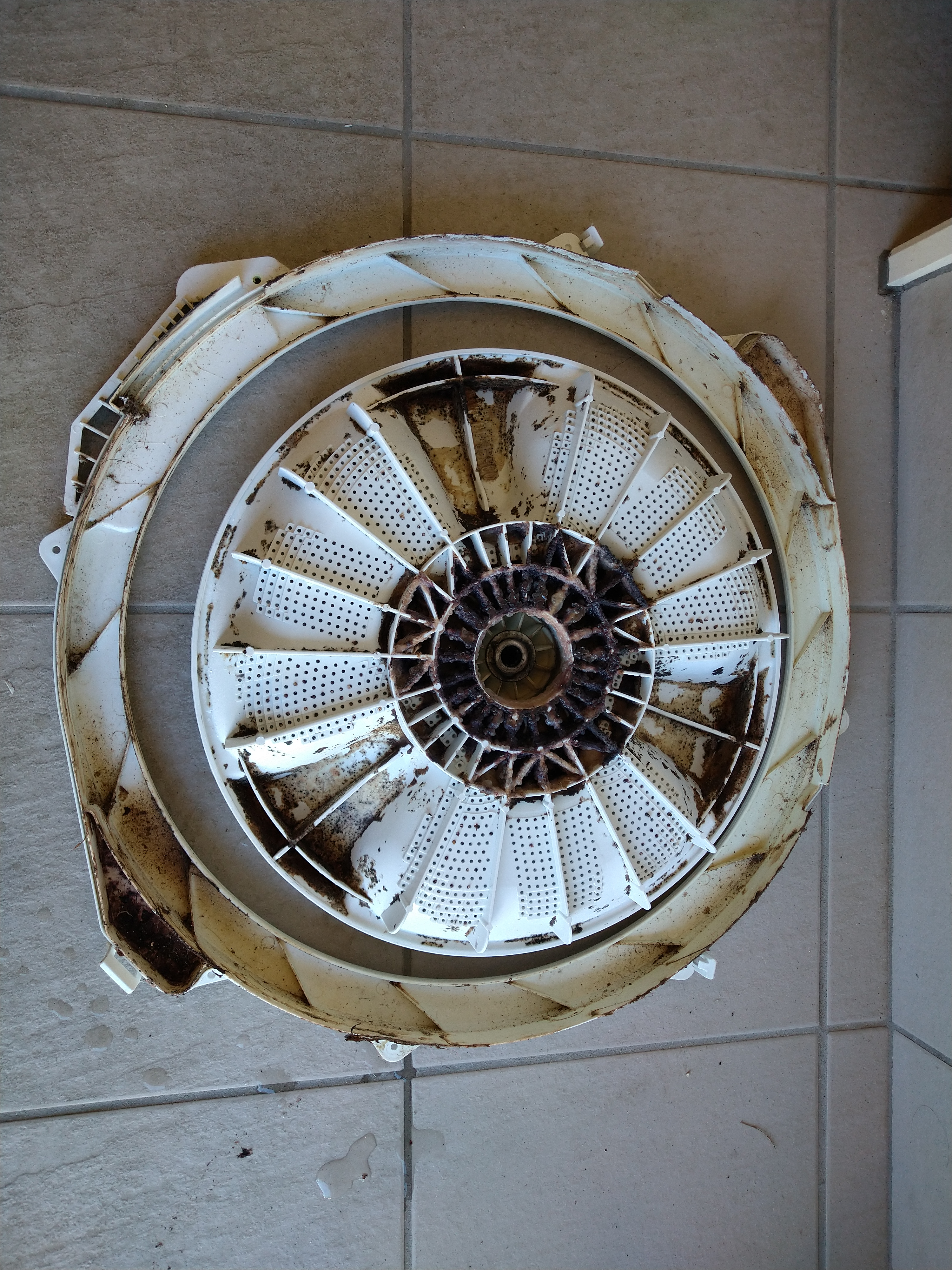 静岡県浜松市浜名区の洗濯機分解クリーニングの作業前2