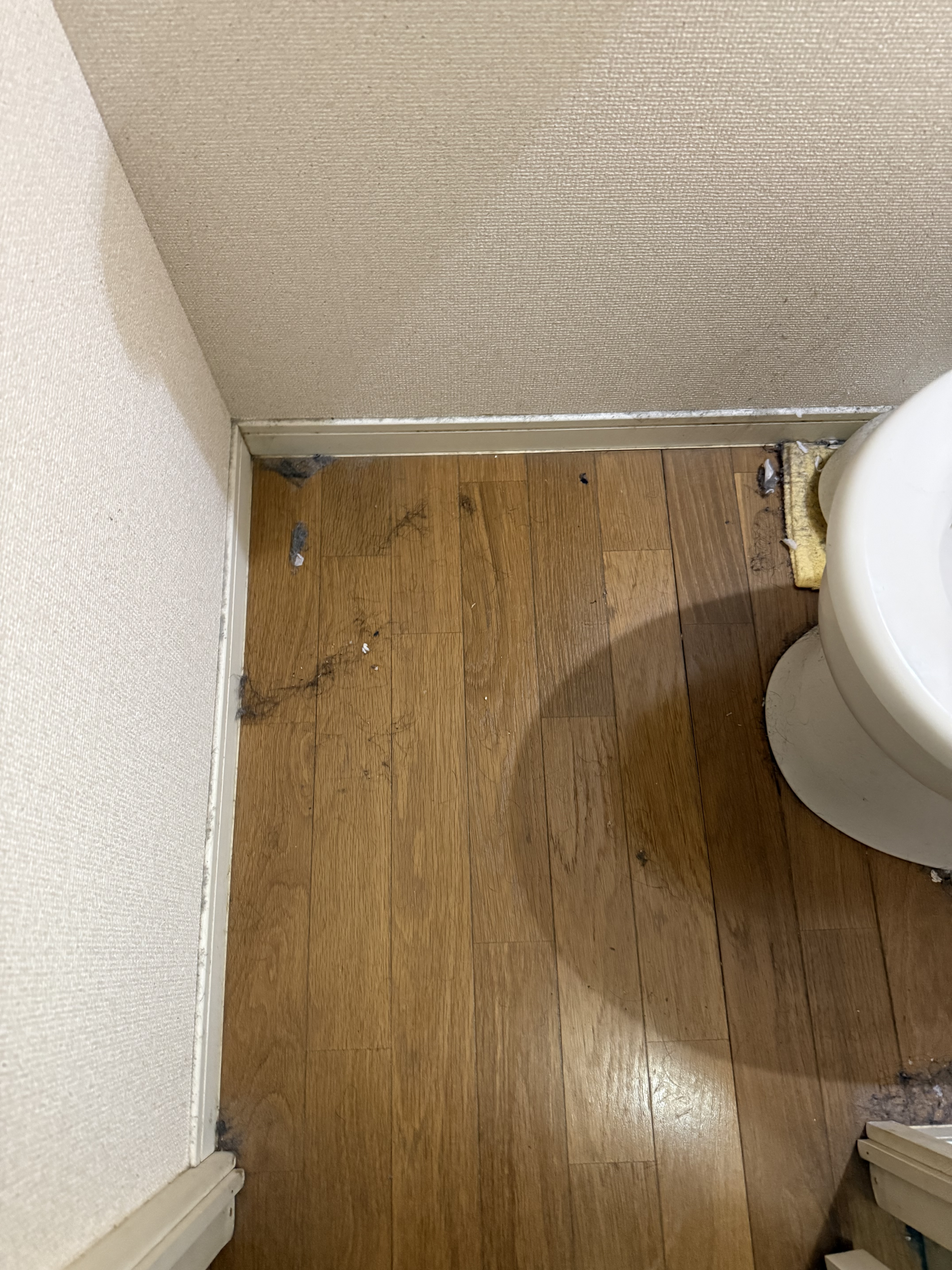 福岡県春日市のトイレクリーニングの作業前2