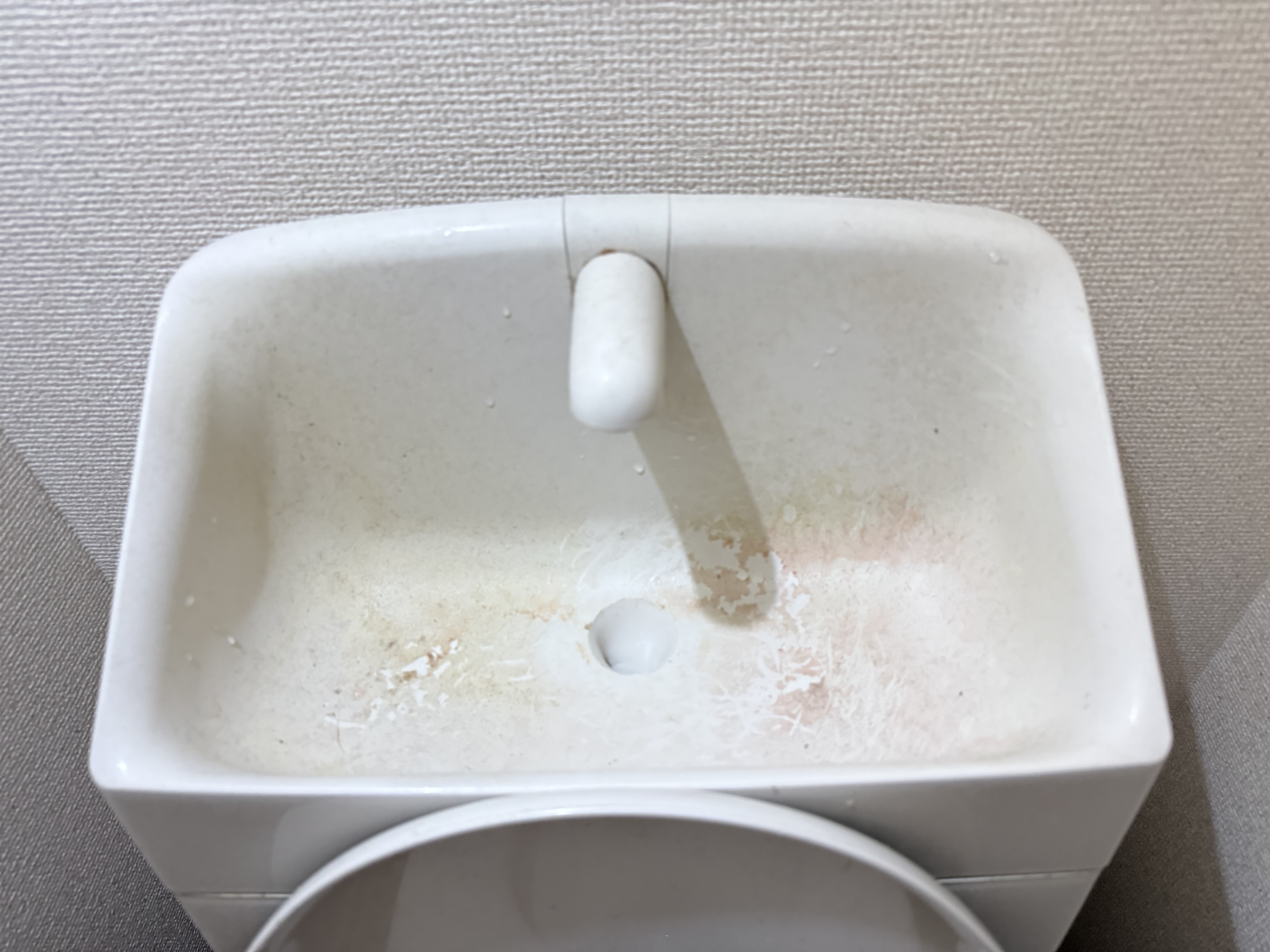 福岡県春日市のトイレクリーニングの作業前3