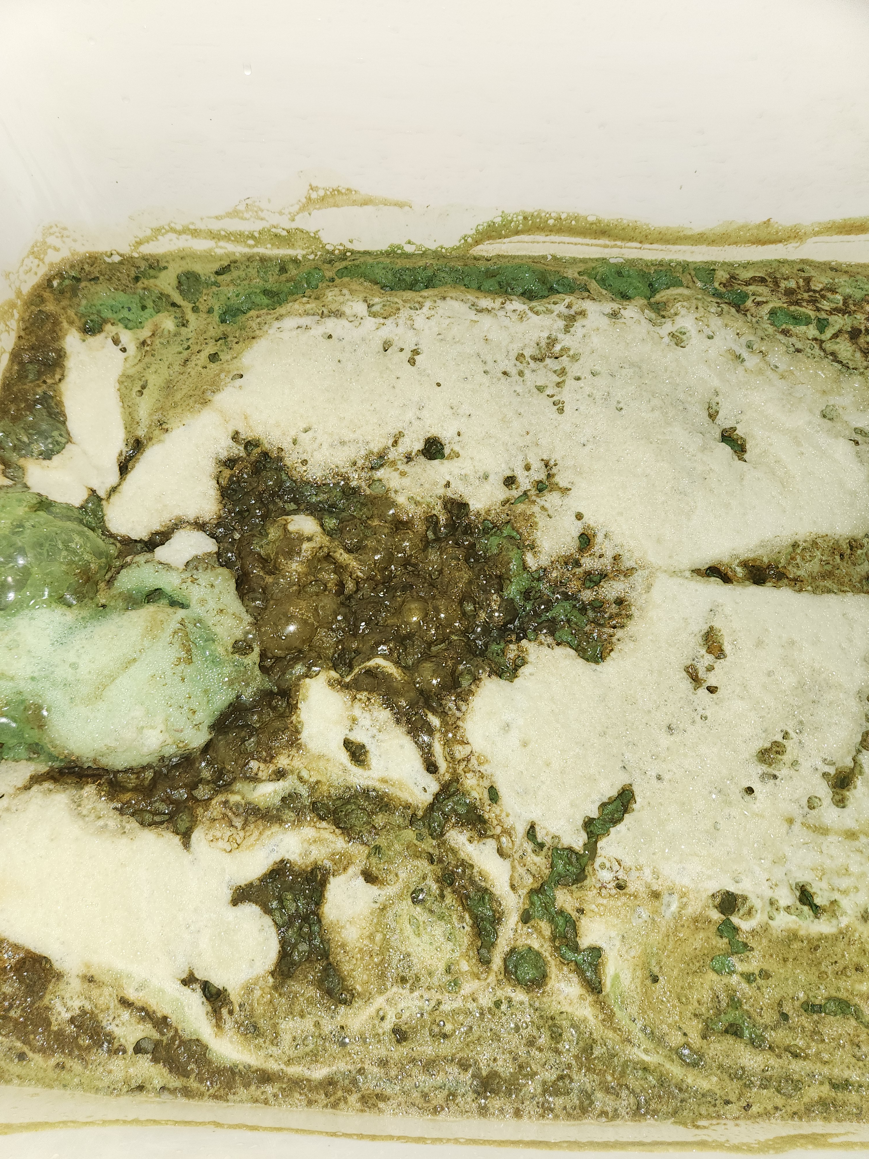 埼玉県坂戸市の浴室・お風呂クリーニングの作業後1