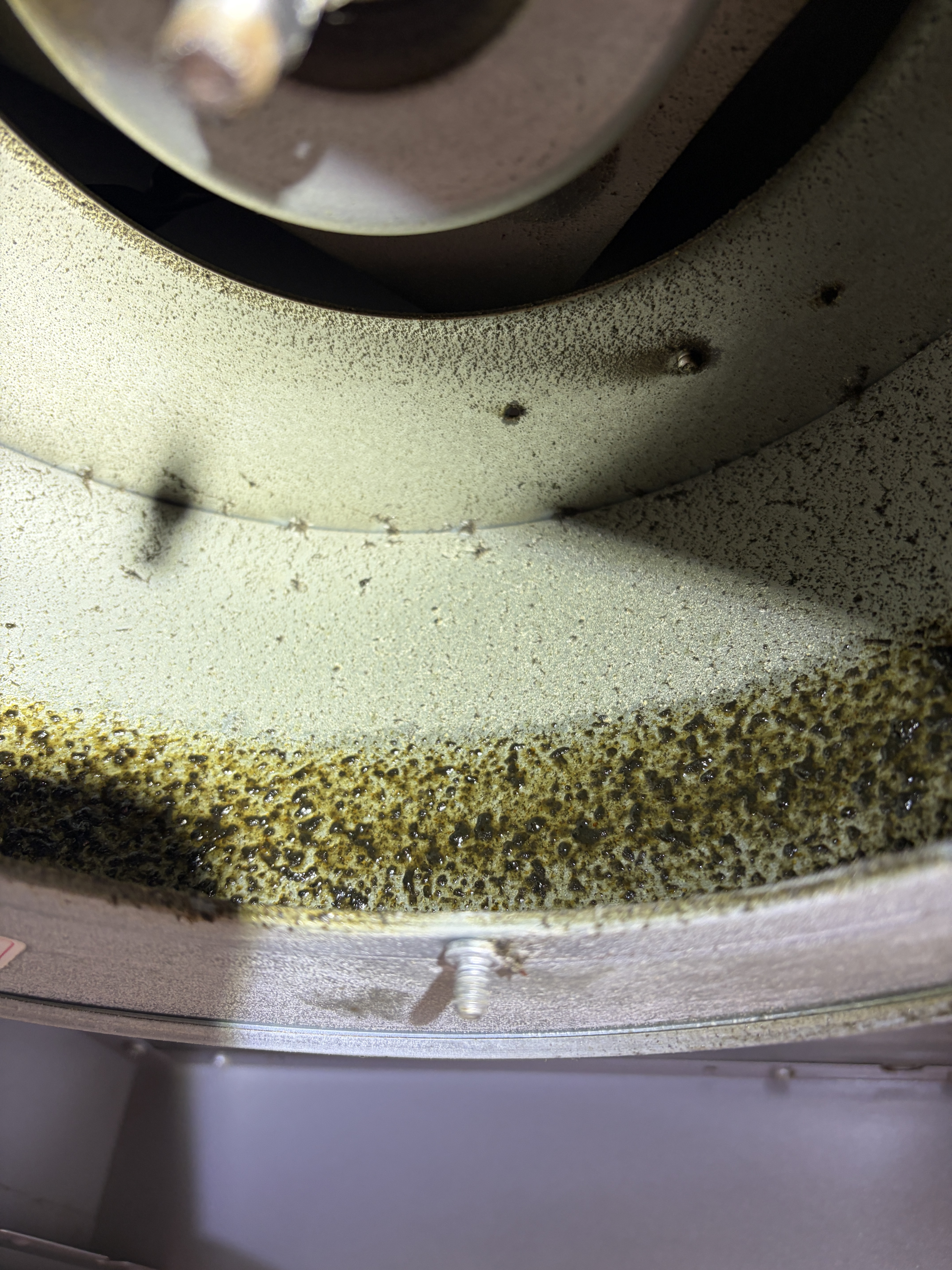 福岡県福岡市博多区のレンジフードクリーニングの作業前3