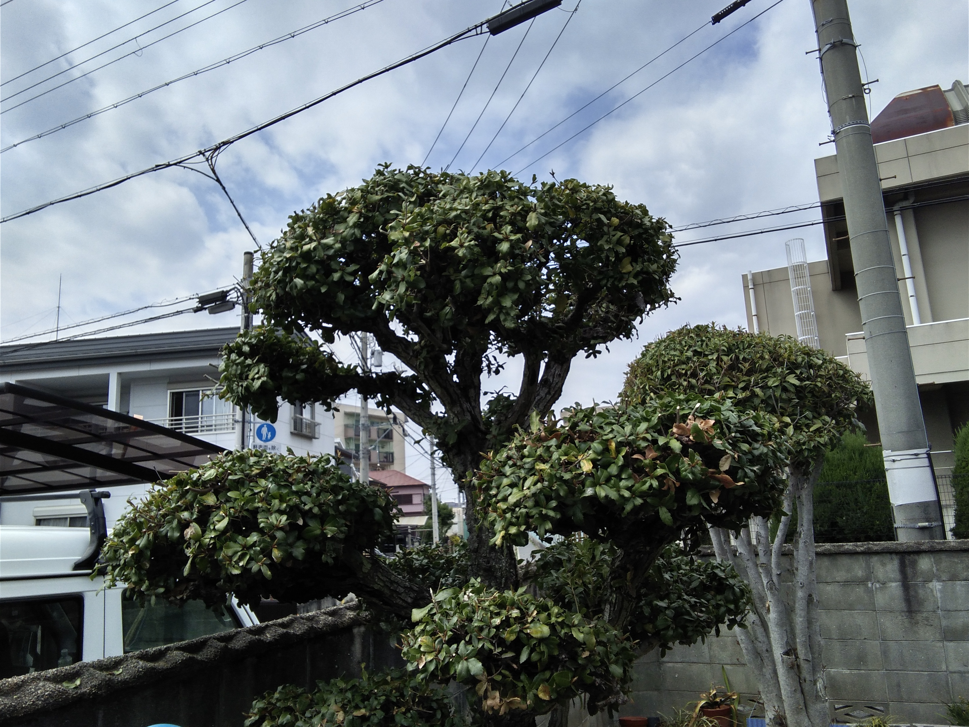 兵庫県加古川市の何でもわがまま定額サービスの作業後1
