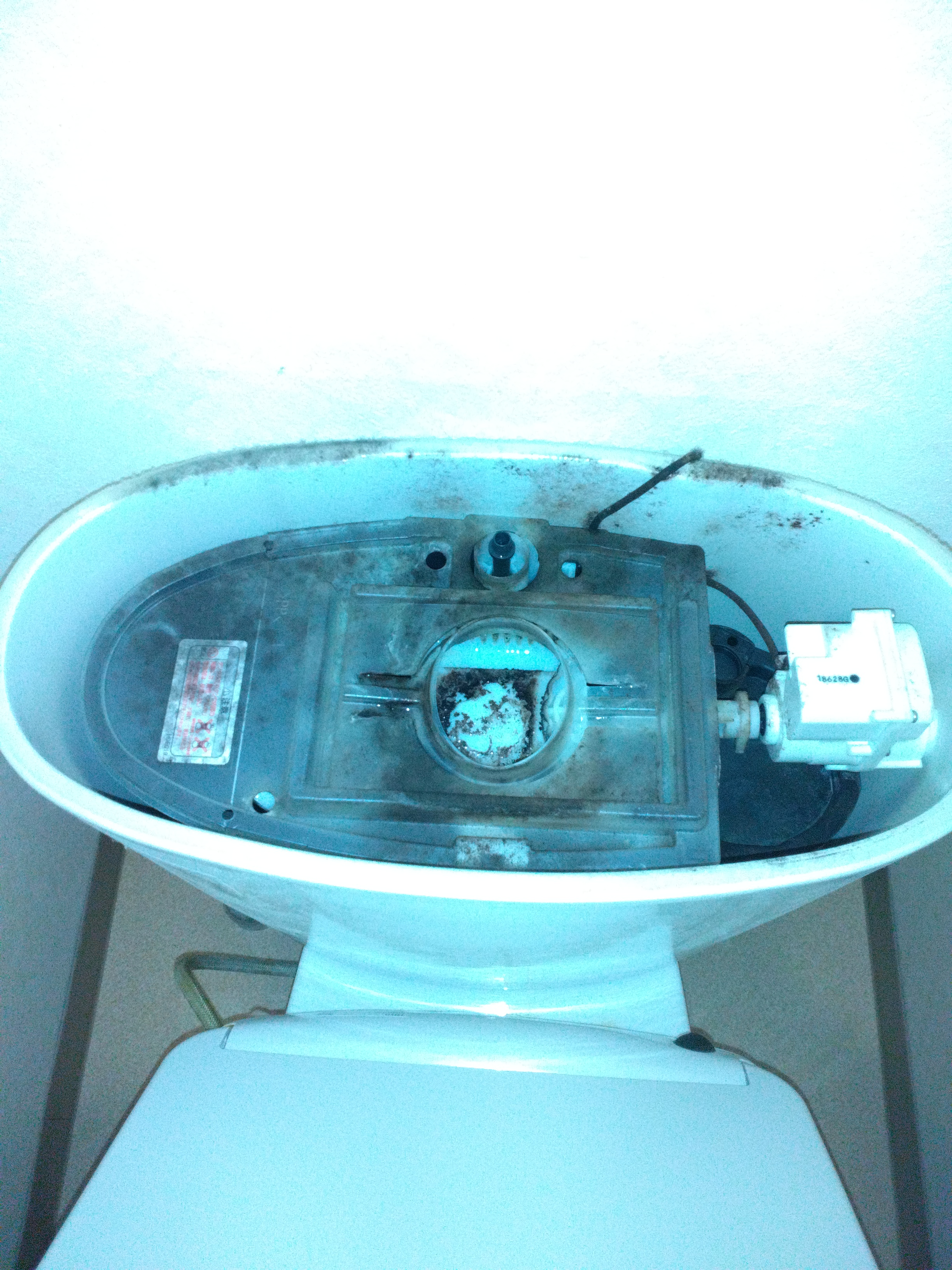 東京都武蔵野市吉祥寺北町のトイレクリーニングの作業前1