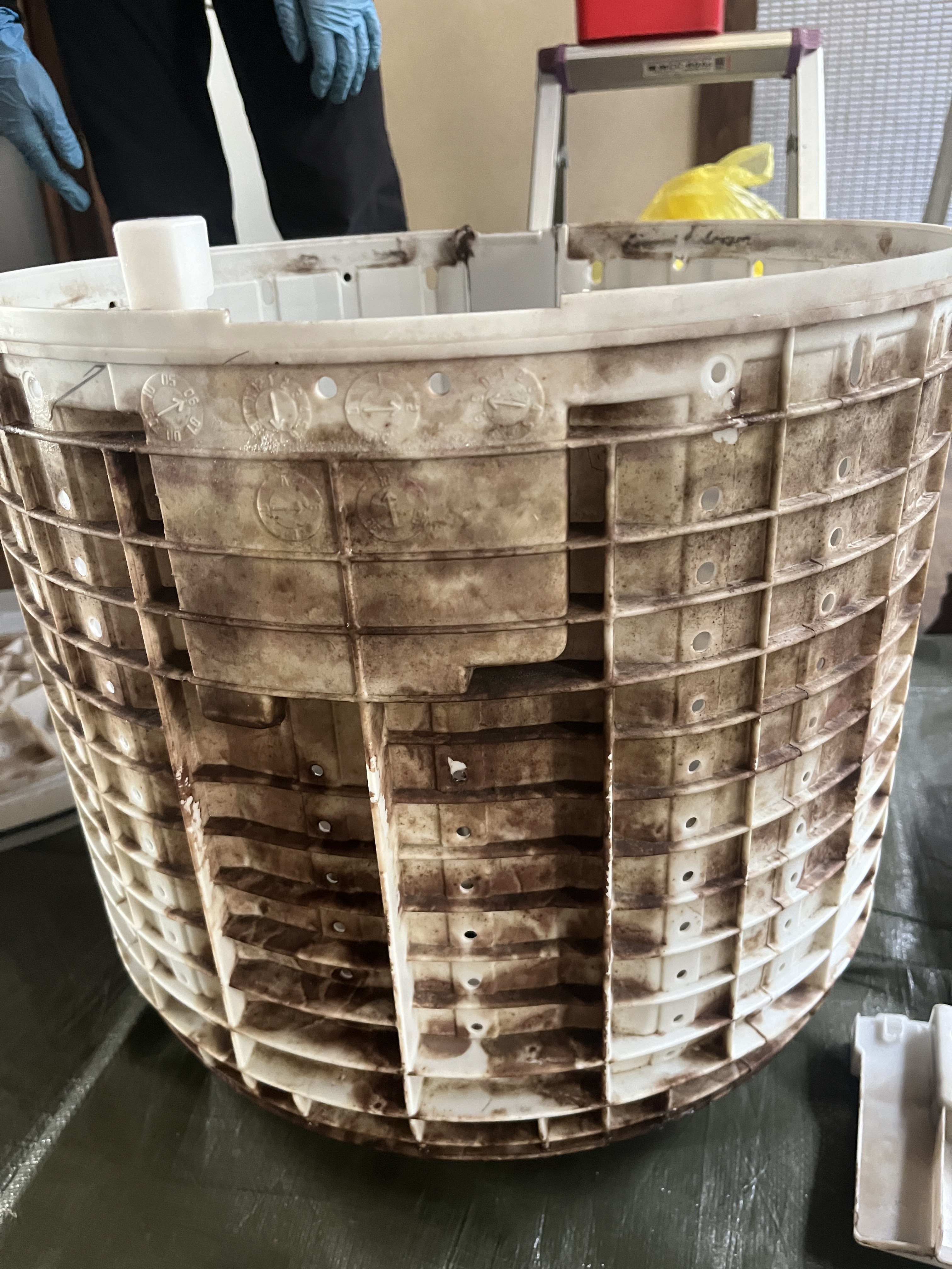 愛知県豊橋市の洗濯機分解クリーニングの作業前1