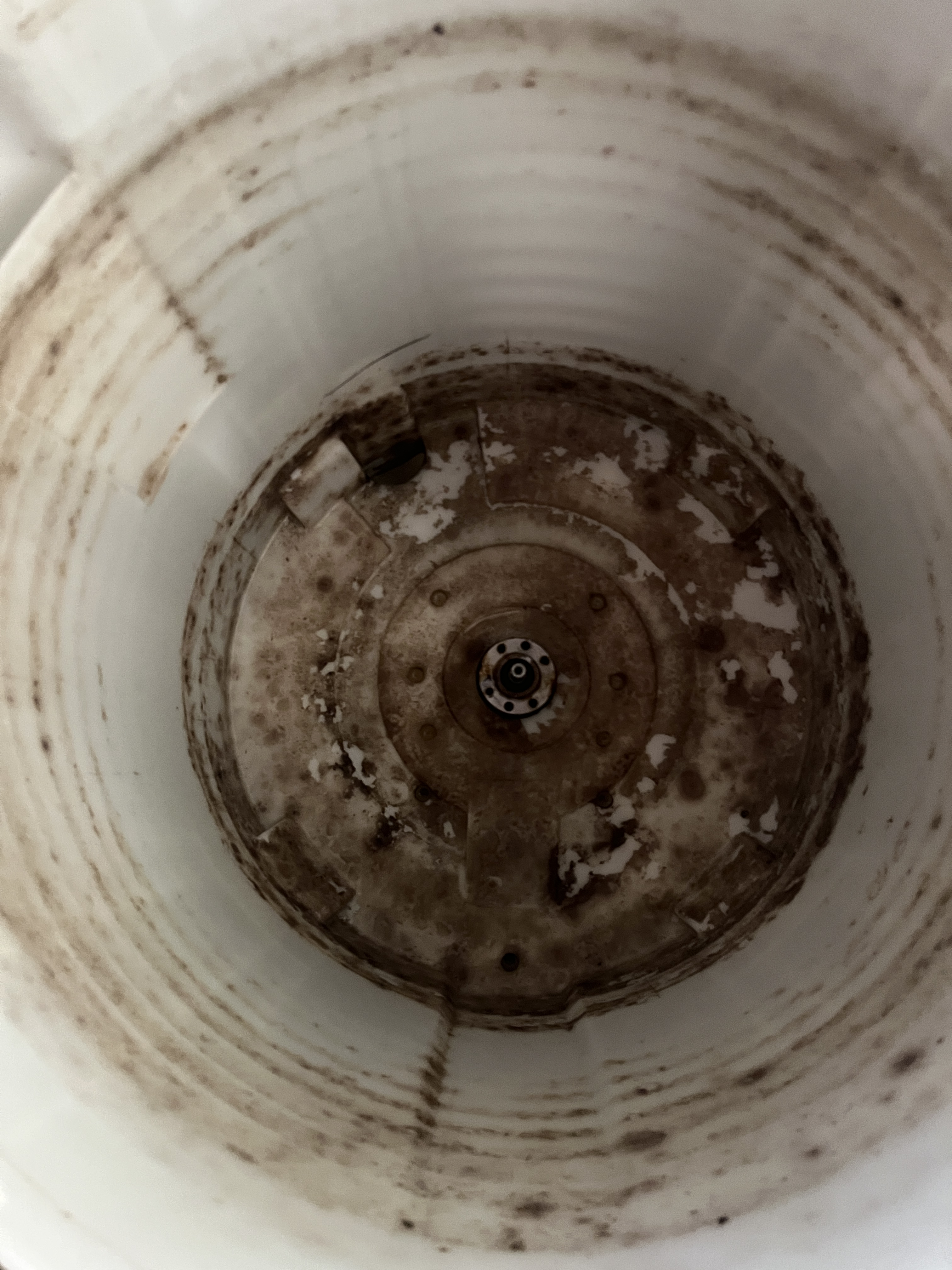 愛知県豊橋市の洗濯機分解クリーニングの作業前3