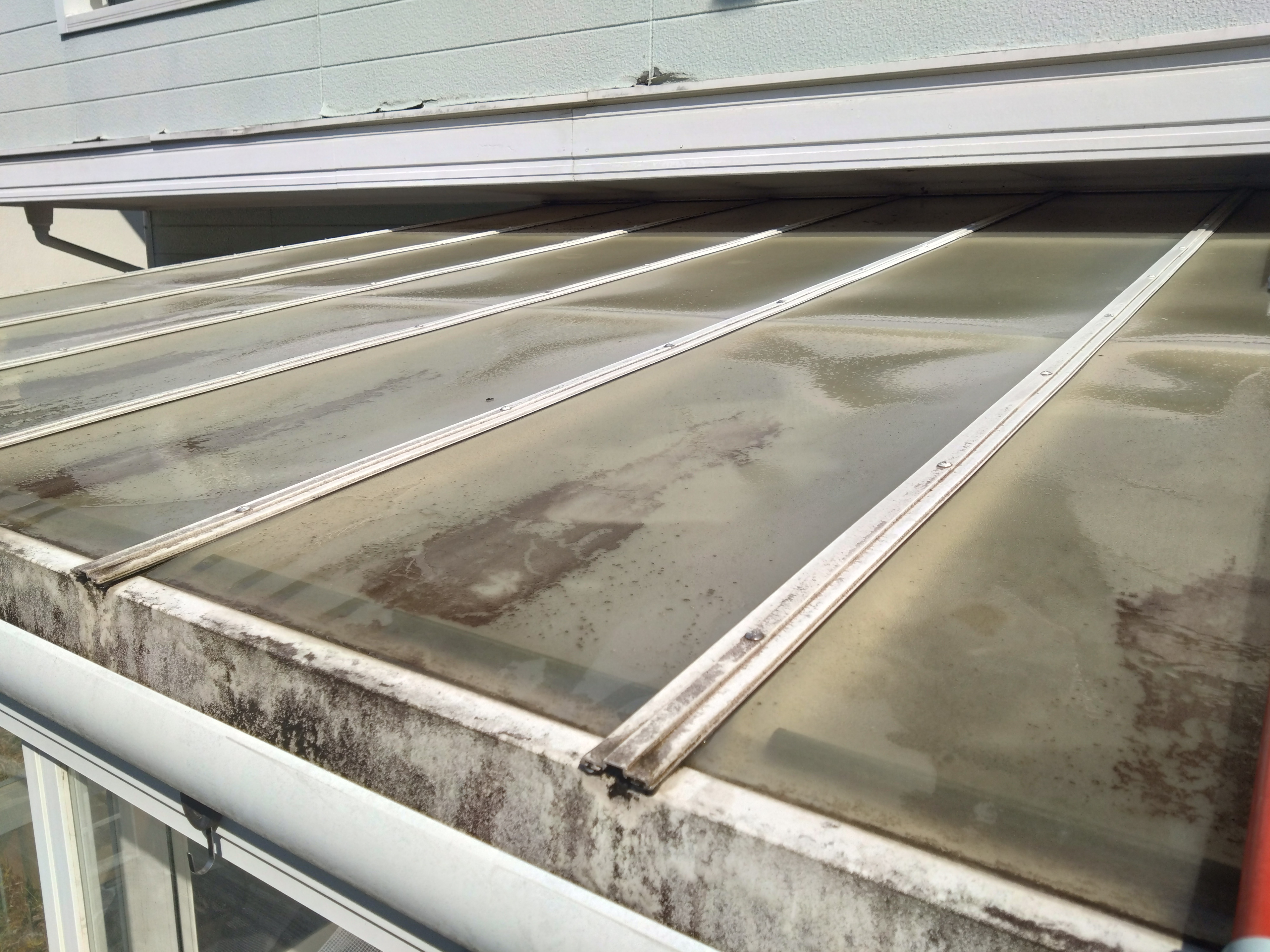 千葉県東金市の何でもわがまま定額サービスの作業前1