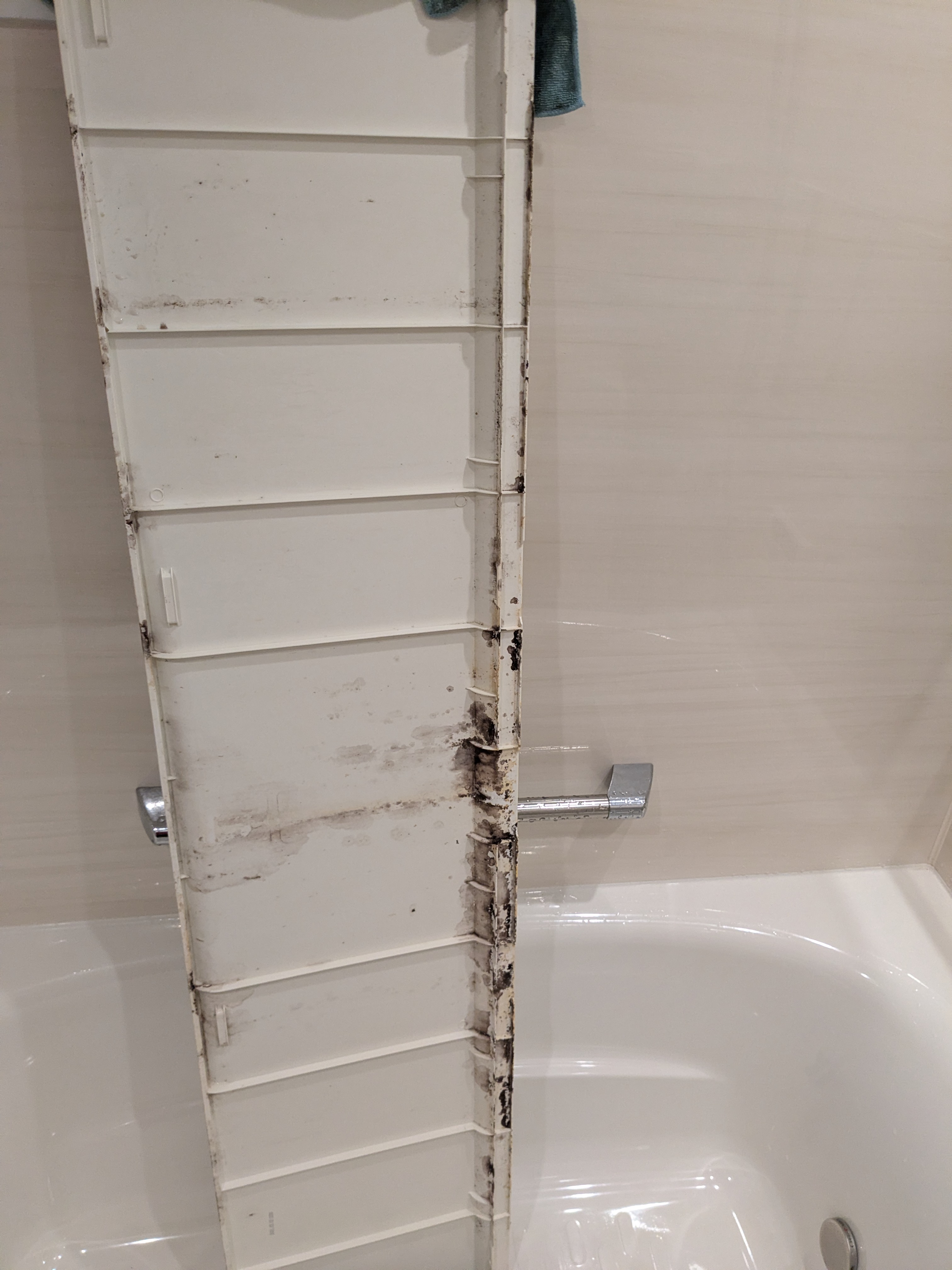 東京都世田谷区松原の浴室・お風呂クリーニングの作業前1