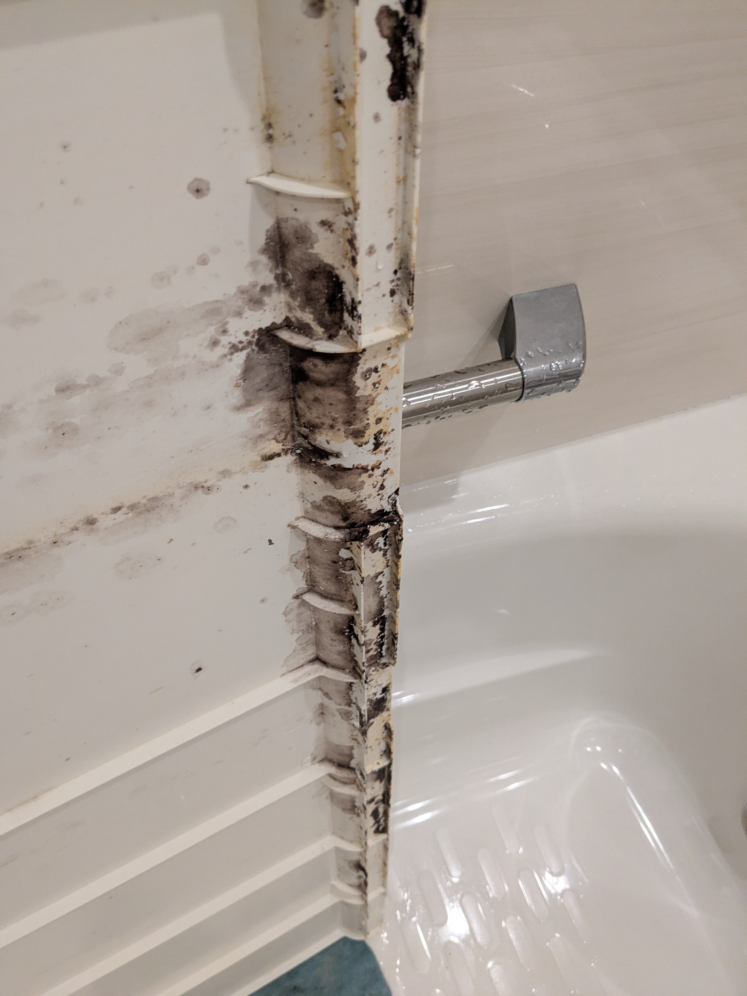 東京都世田谷区松原の浴室・お風呂クリーニングの作業前2