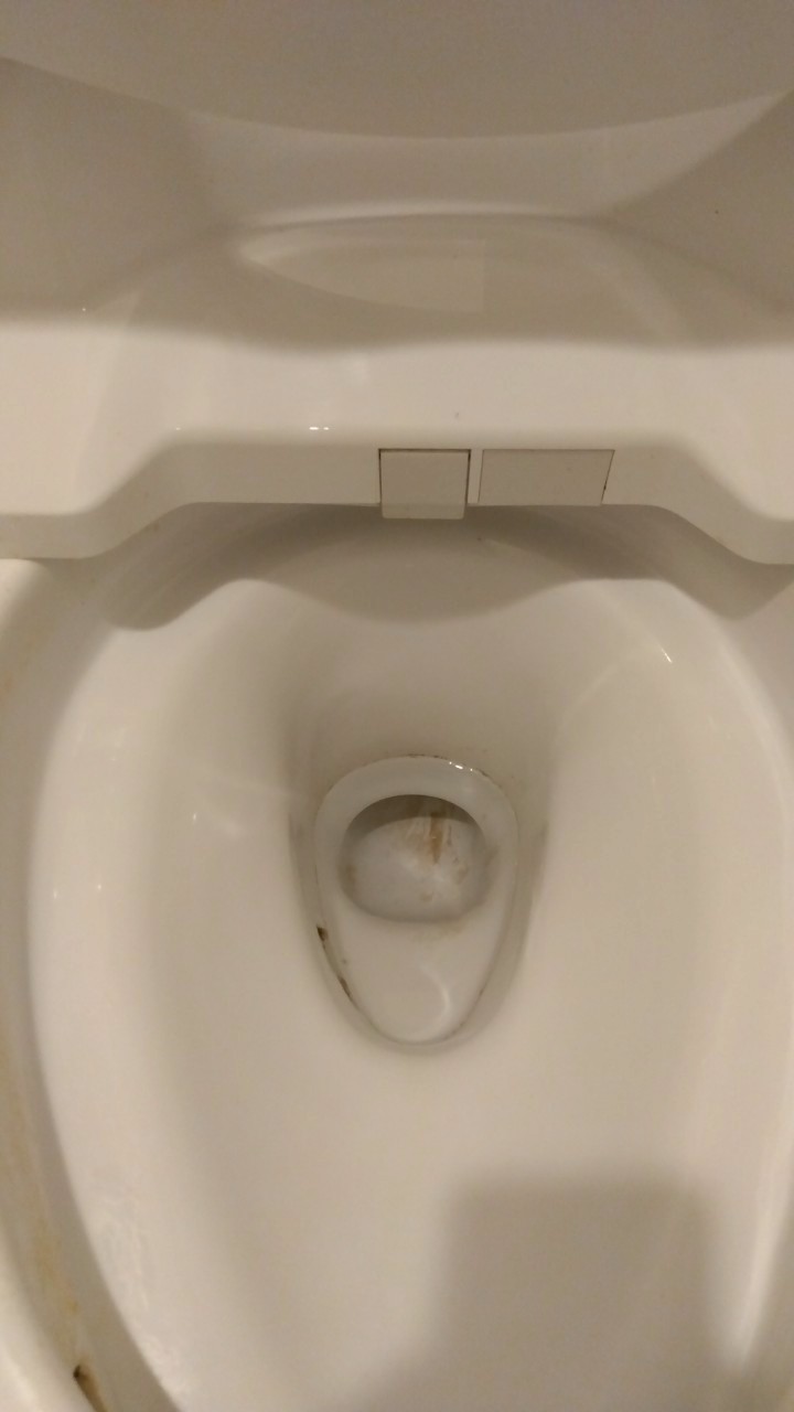 東京都文京区のトイレクリーニングの作業前1