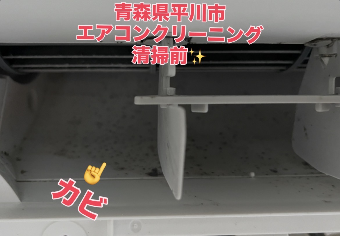 青森県平川市のお掃除機能付きエアコンの作業前1
