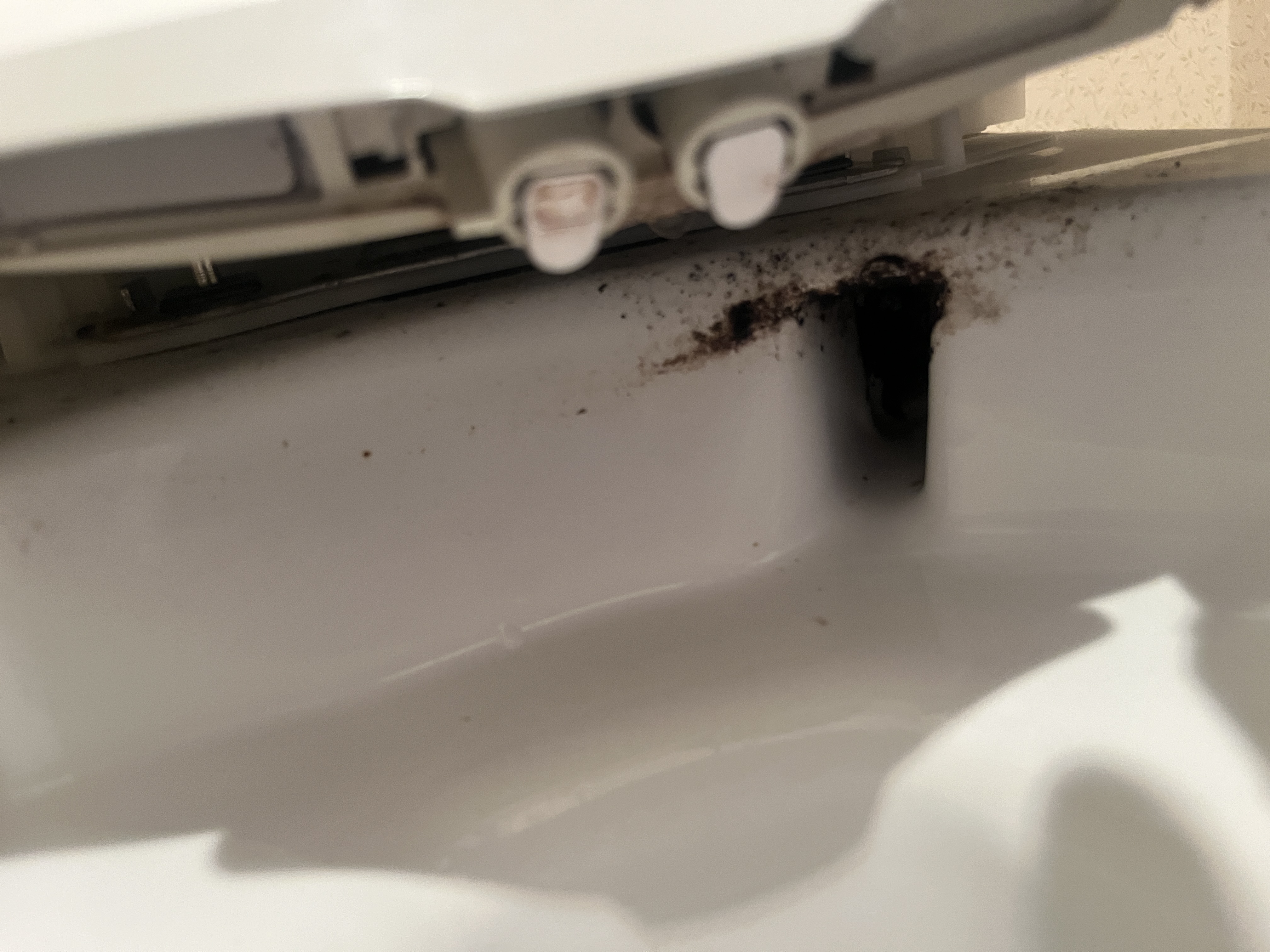 東京都江東区千石のトイレクリーニングの作業前1