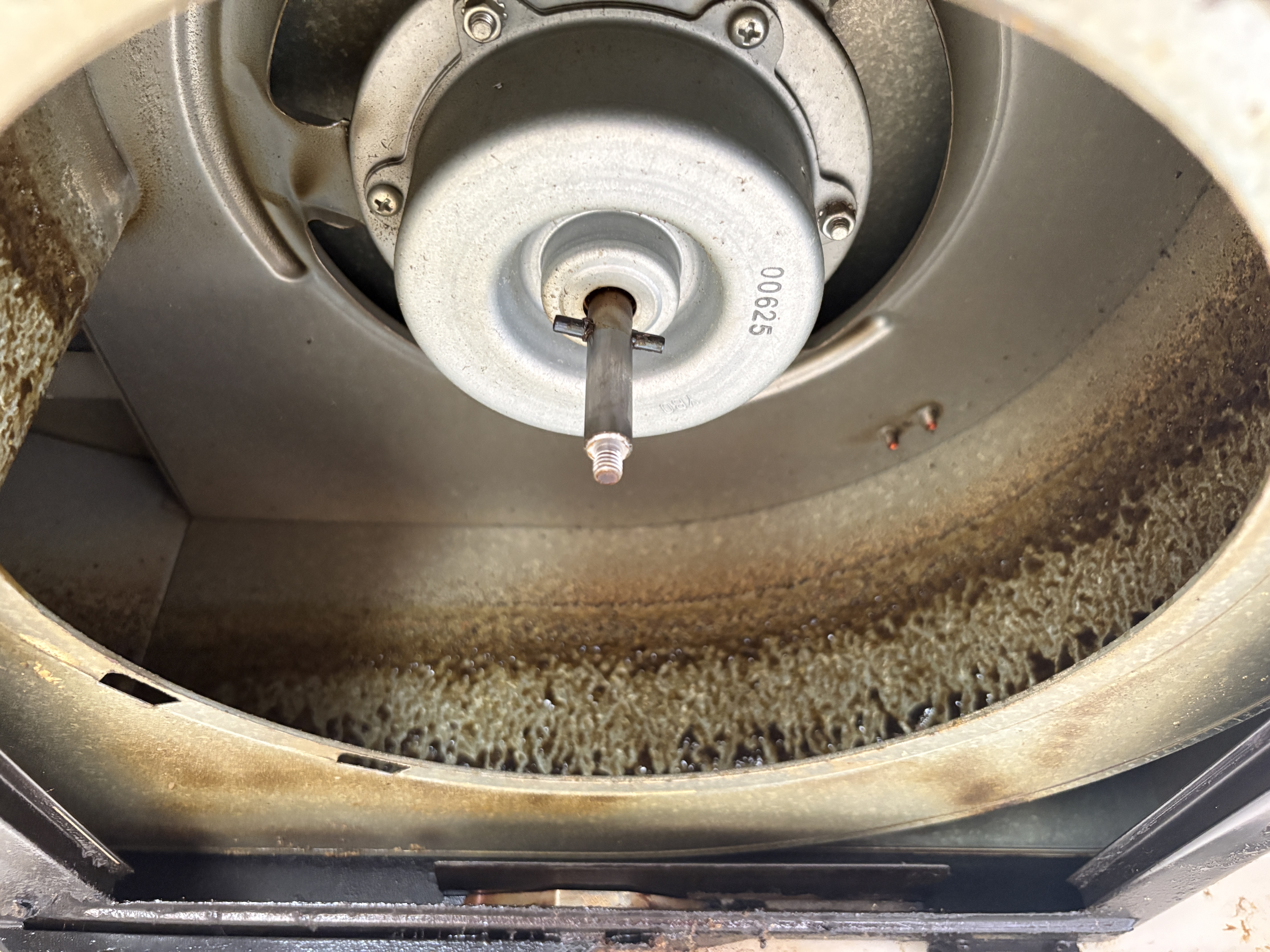 神奈川県厚木市のレンジフードクリーニングの作業前2