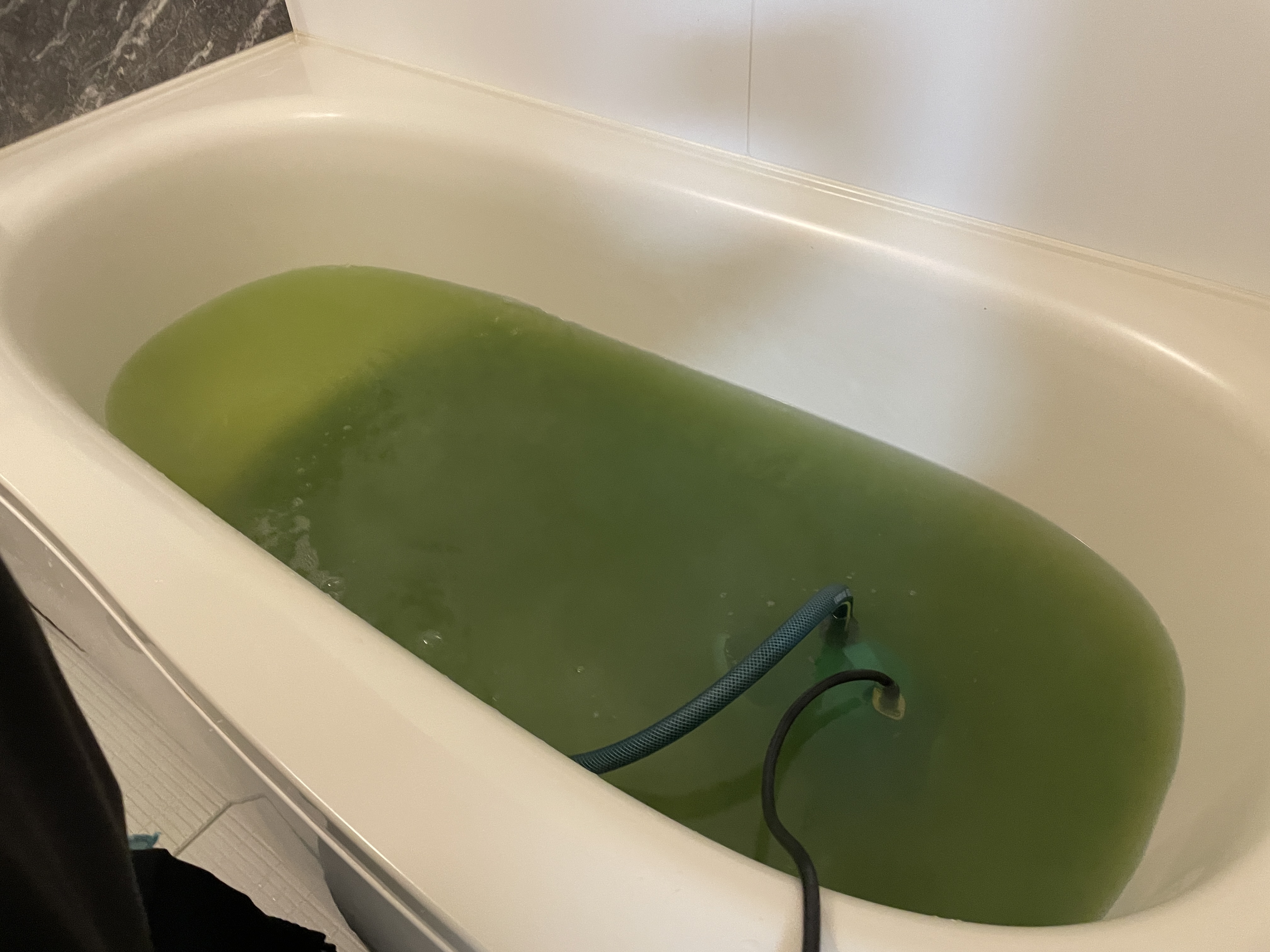 愛知県名古屋市千種区茶屋ヶ坂の追い焚き配管除菌洗浄の作業後1