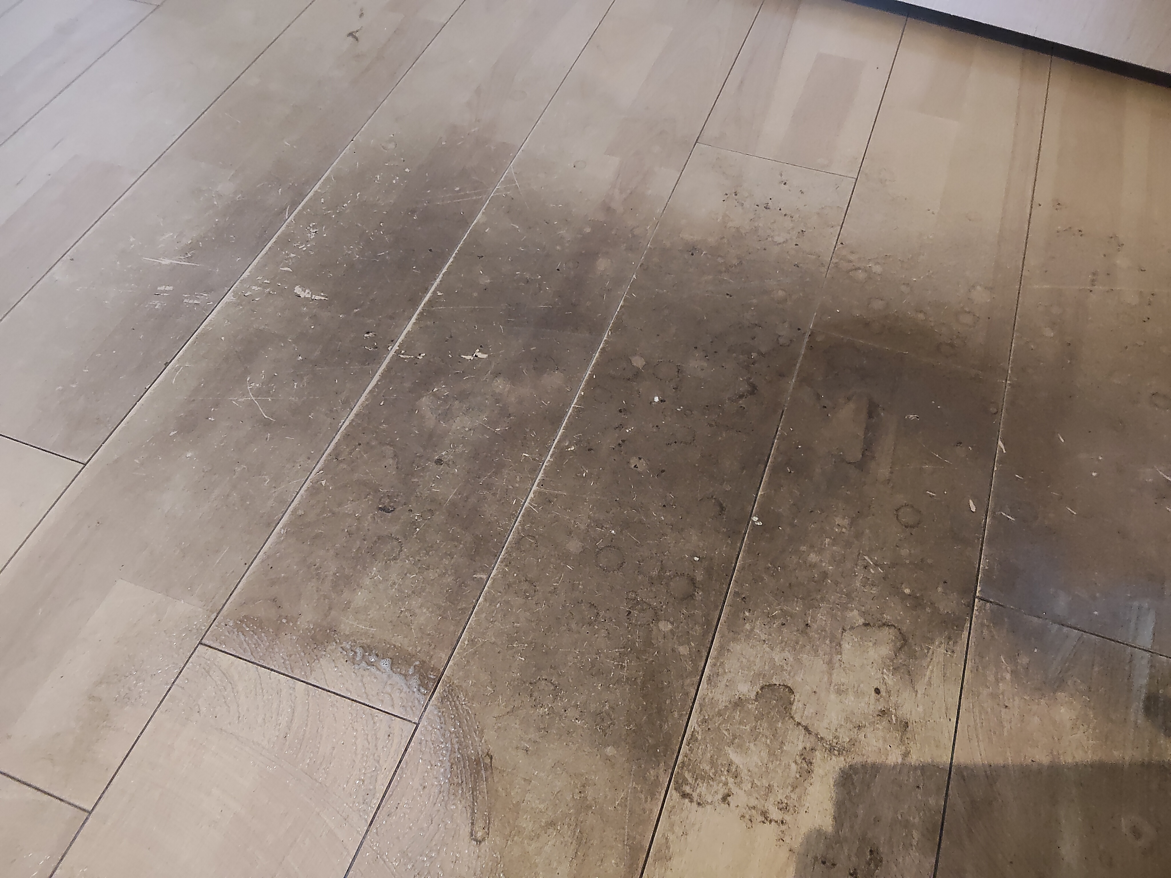 神奈川県川崎市高津区下作延の賃貸住宅退去後の原状回復クリーニングの作業前1