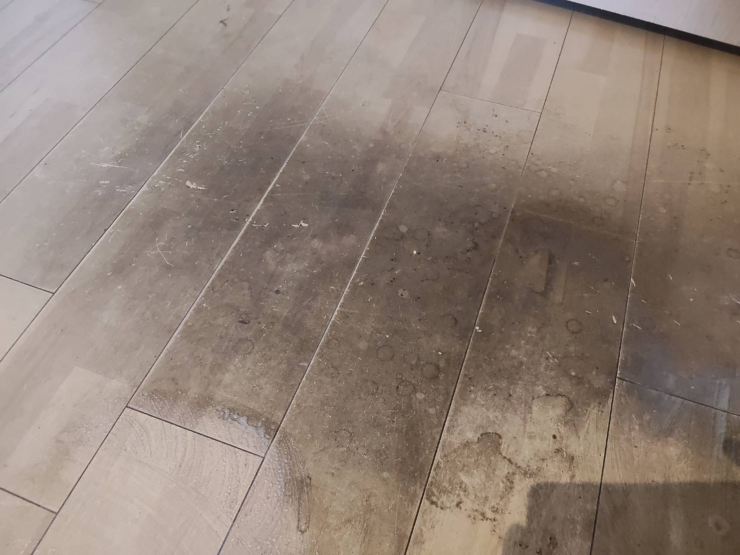 神奈川県川崎市高津区下作延のマンション・戸建て売却前の徹底クリーニングの作業前1