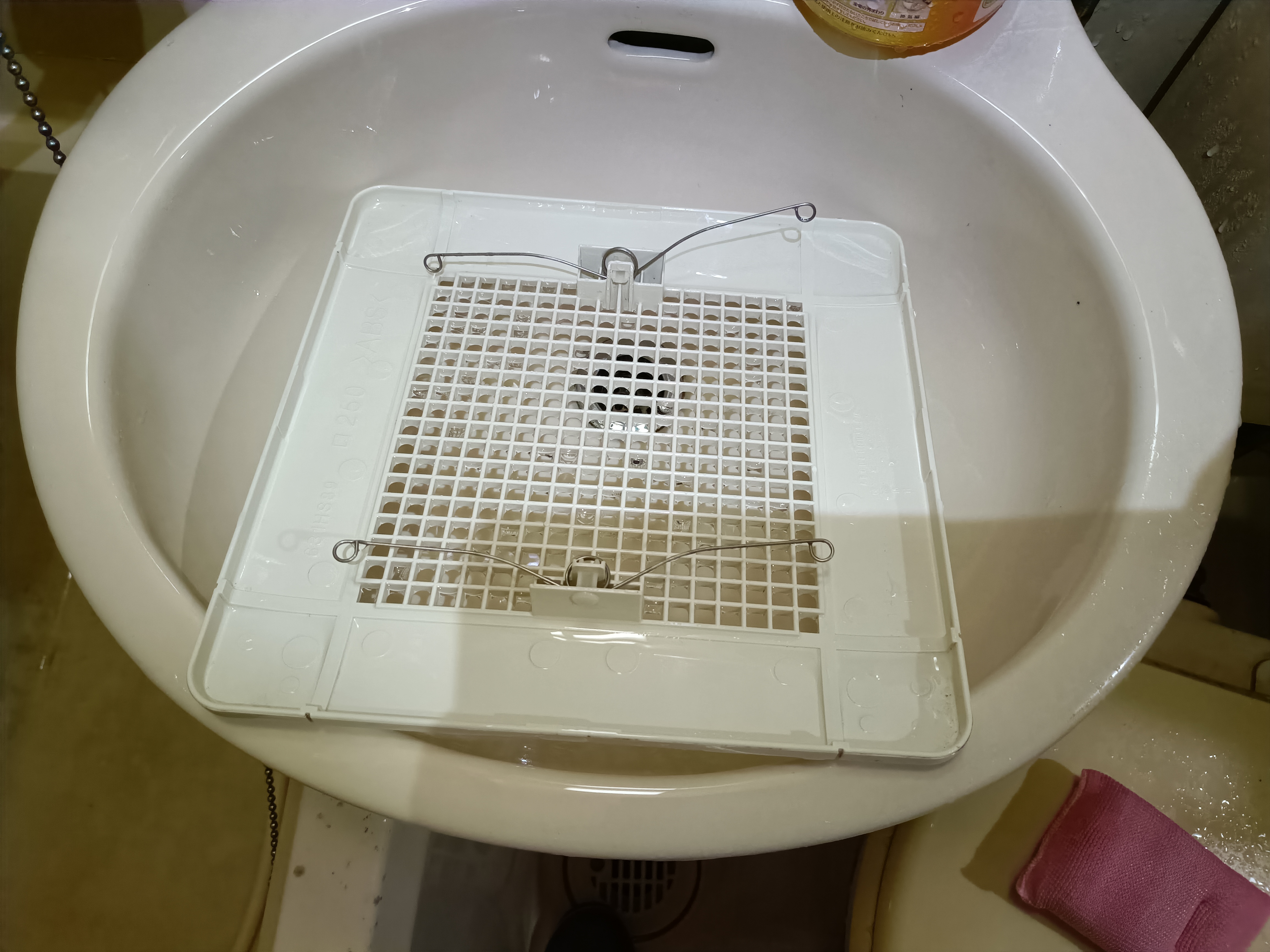 東京都足立区梅田の社宅・社員寮の原状回復クリーニングの作業後1