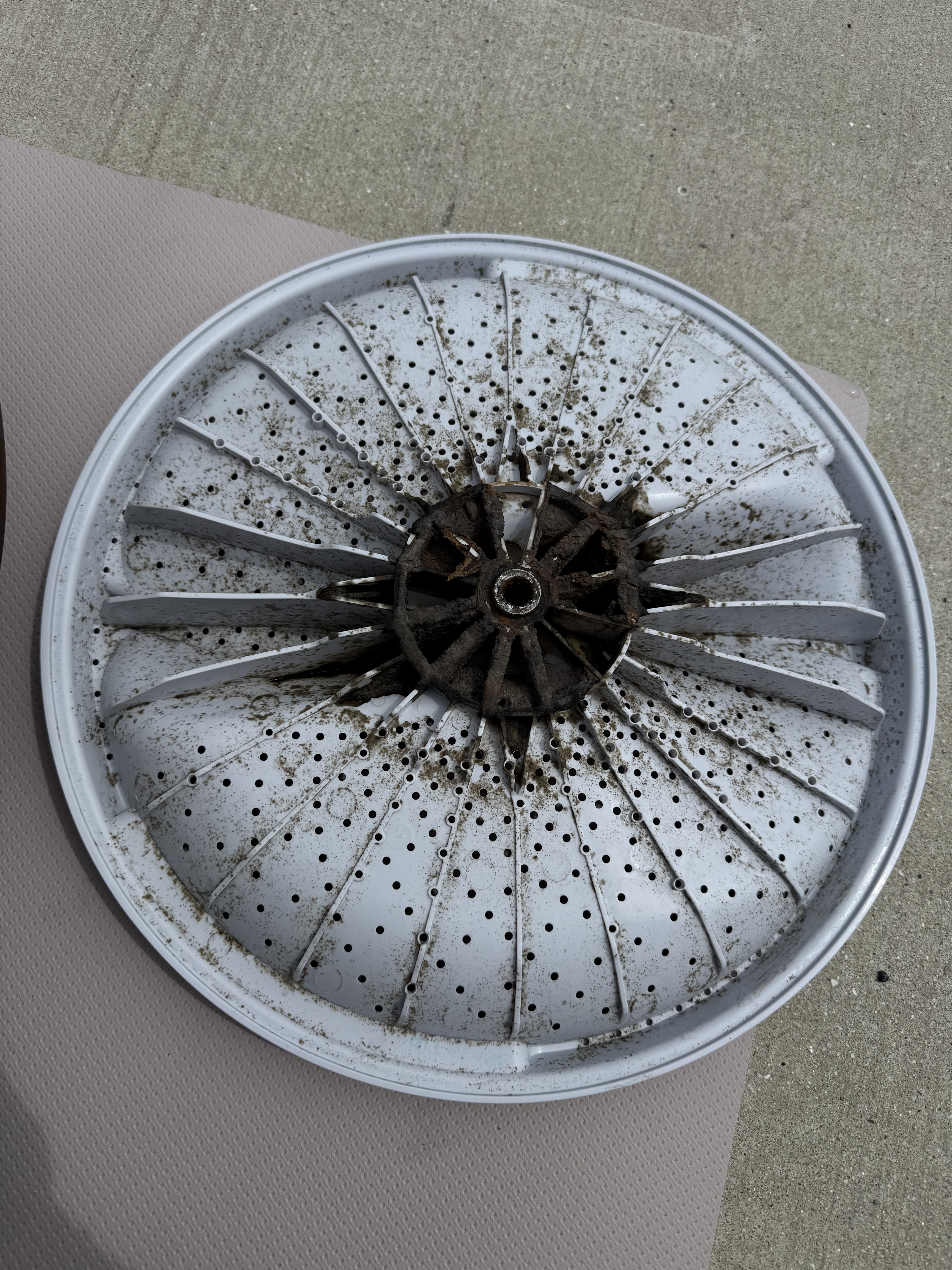 福岡県豊前市の洗濯機分解クリーニングの作業前3