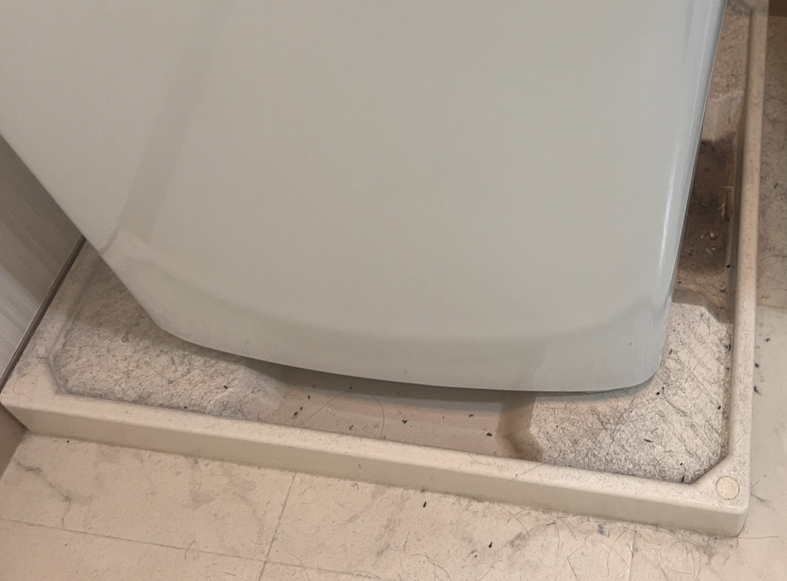 静岡県浜松市中央区の賃貸住宅退去後の原状回復クリーニングの作業前1