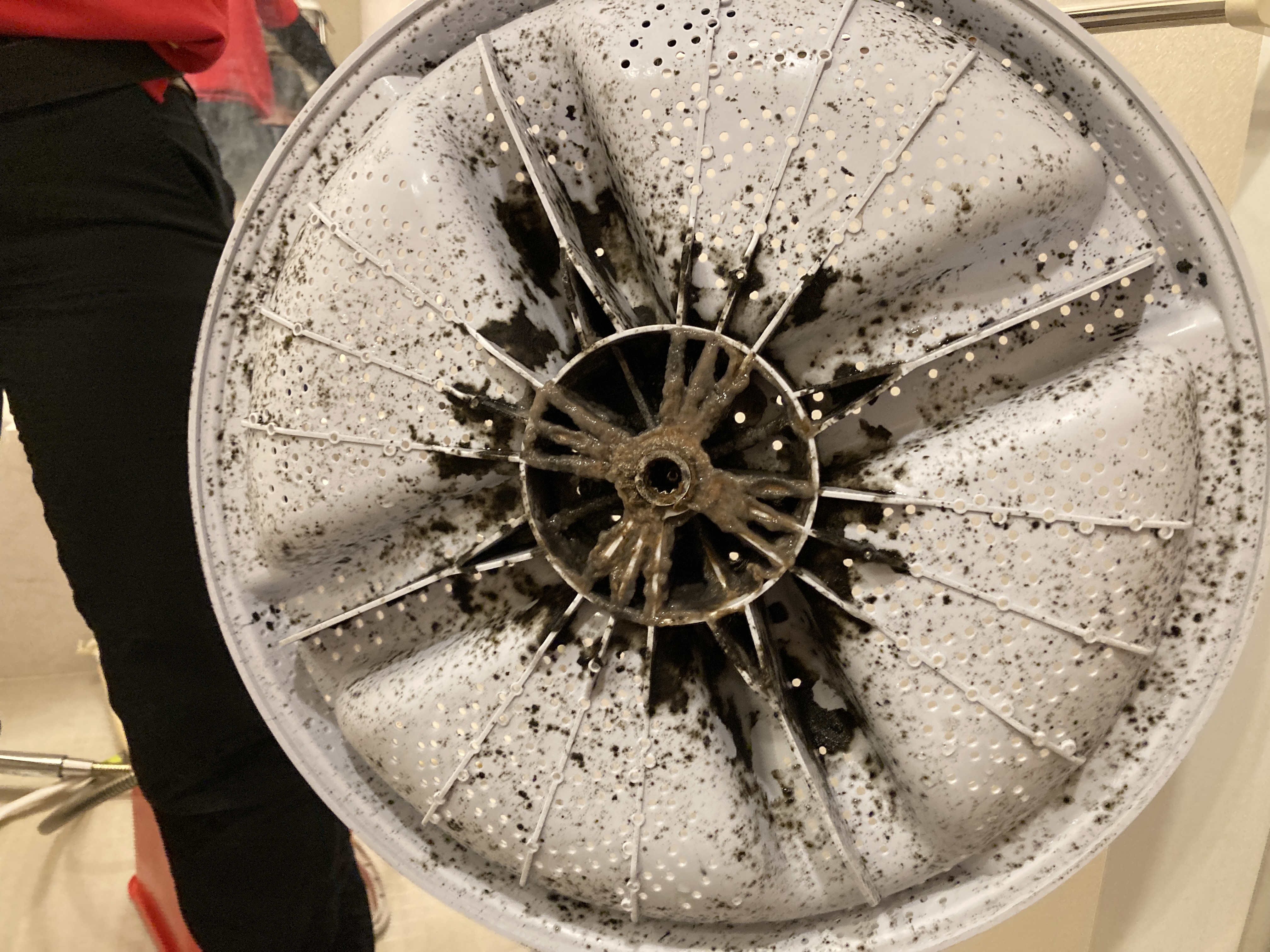 京都府京都市右京区西院高田町の洗濯機分解クリーニングの作業前3