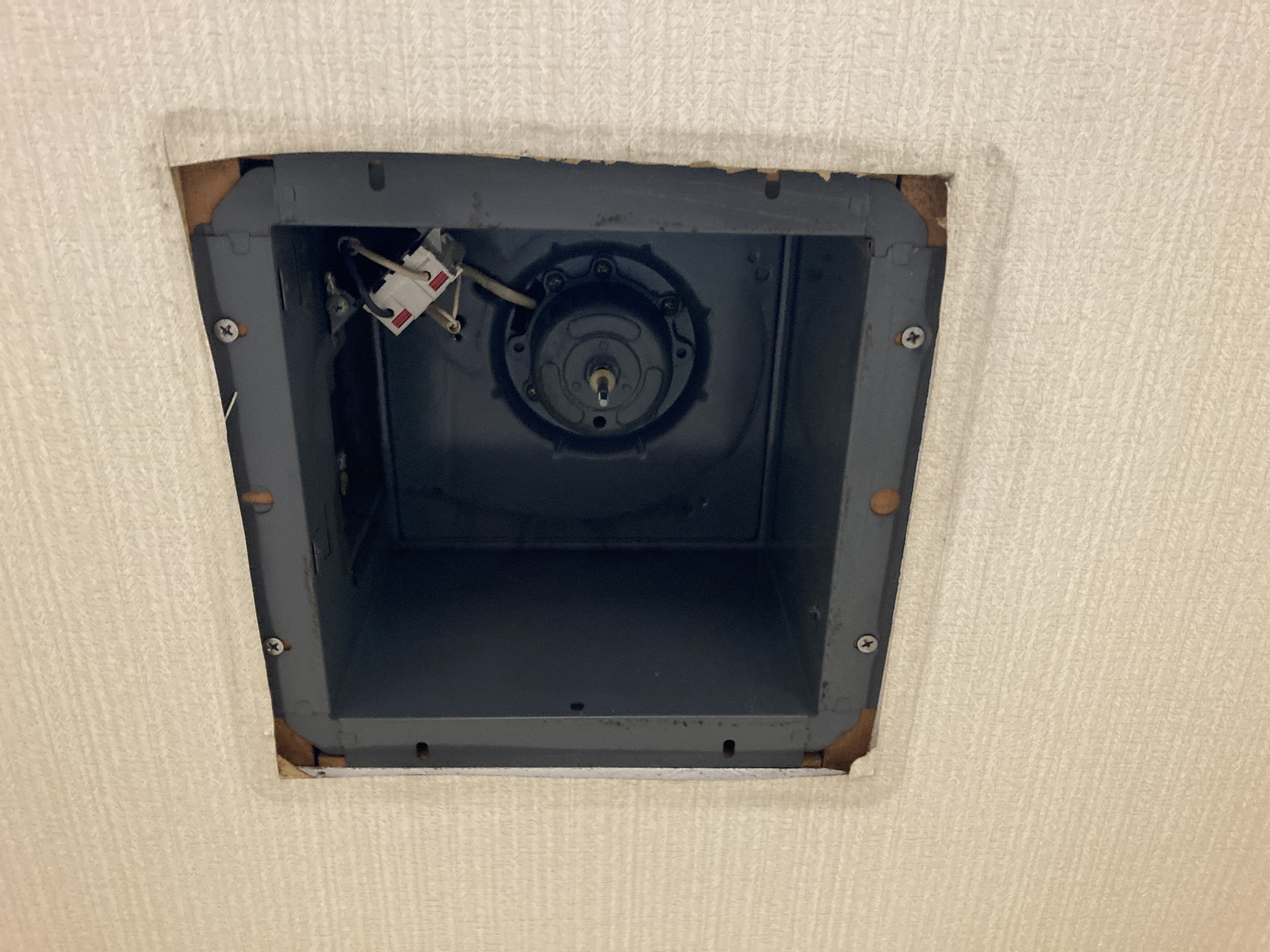 京都府京都市伏見区桃山町松平筑前のトイレクリーニングの作業後3