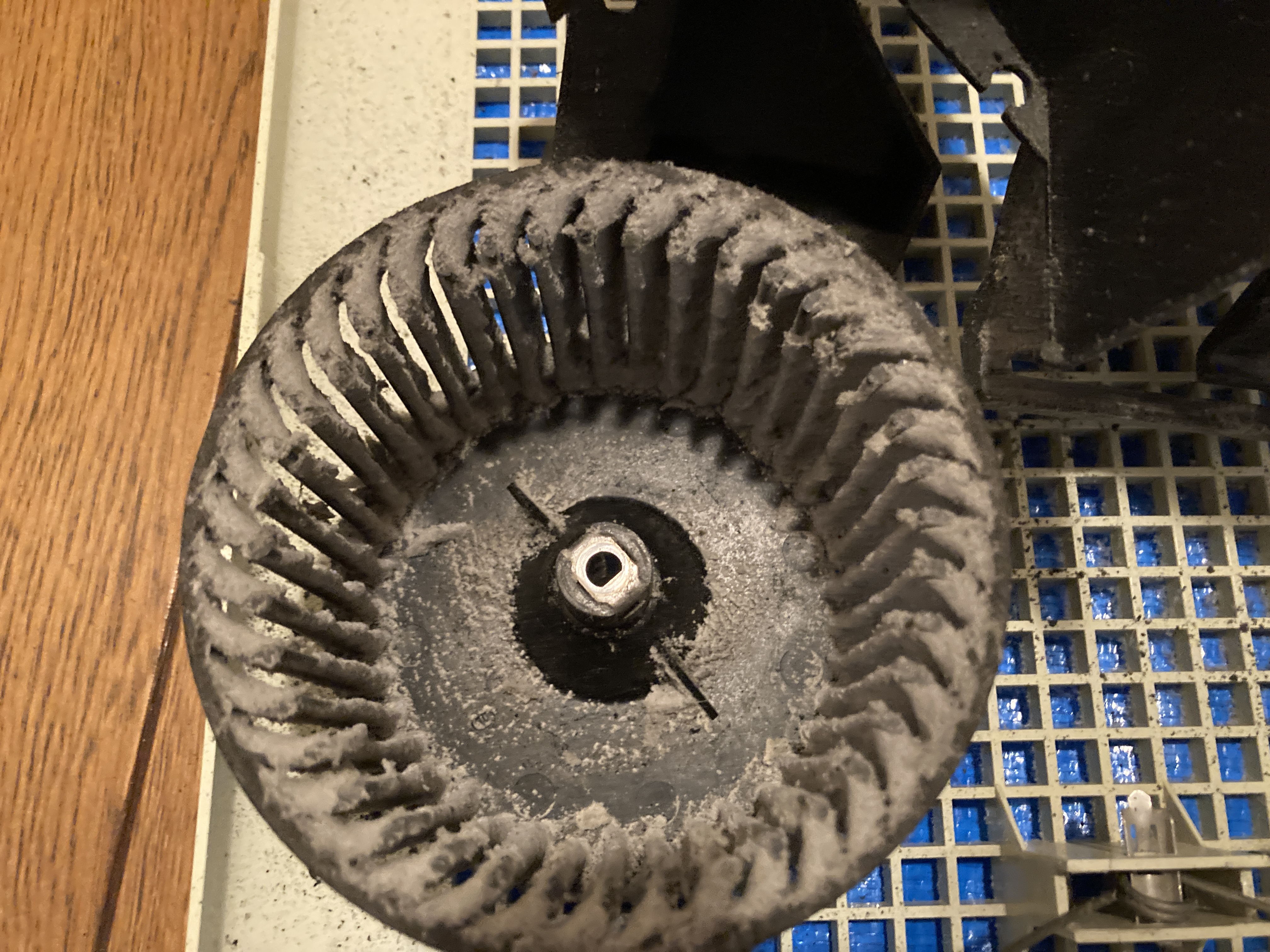 京都府京都市伏見区桃山町松平筑前のトイレクリーニングの作業前1