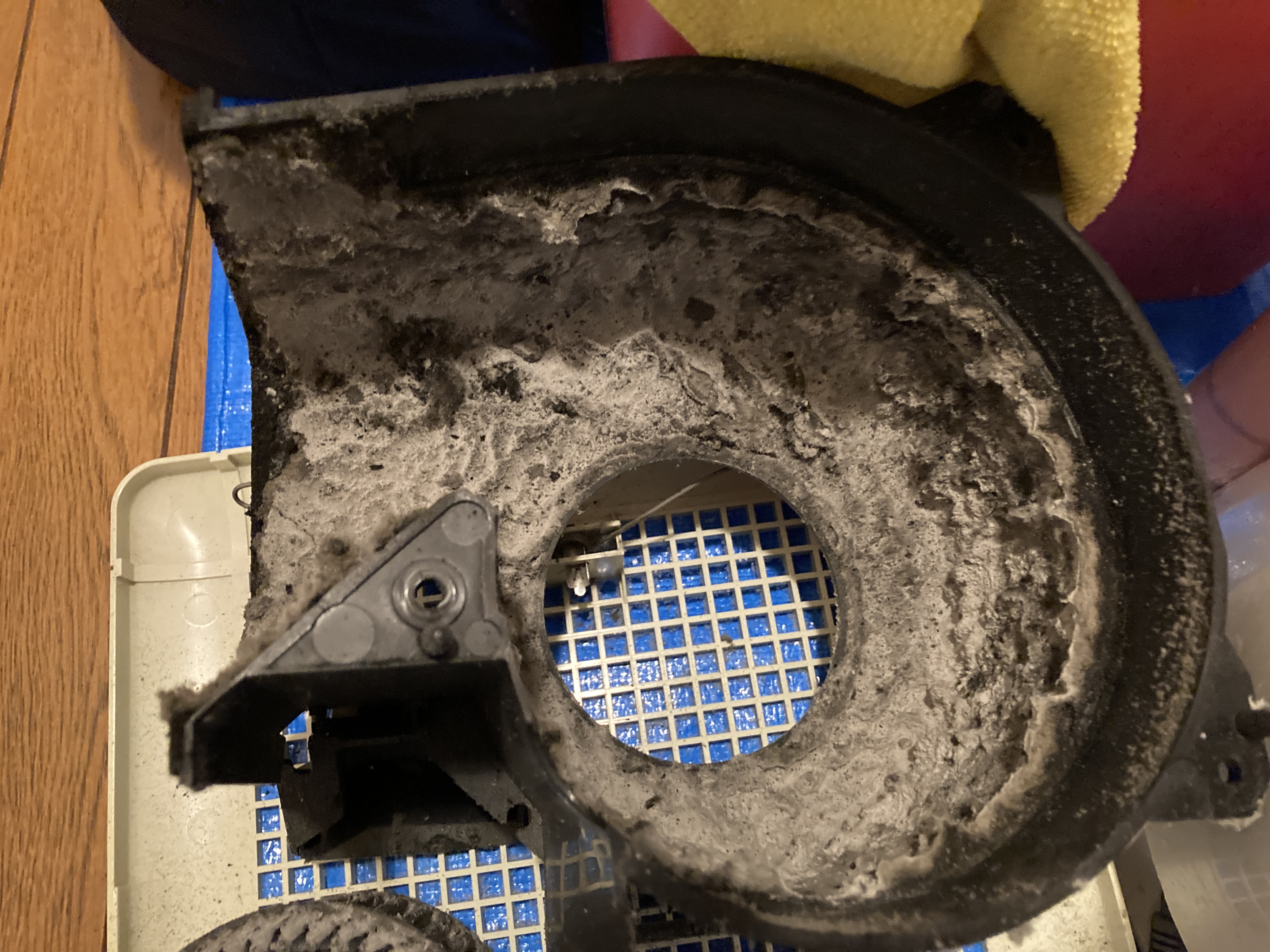 京都府京都市伏見区桃山町松平筑前のトイレクリーニングの作業前2