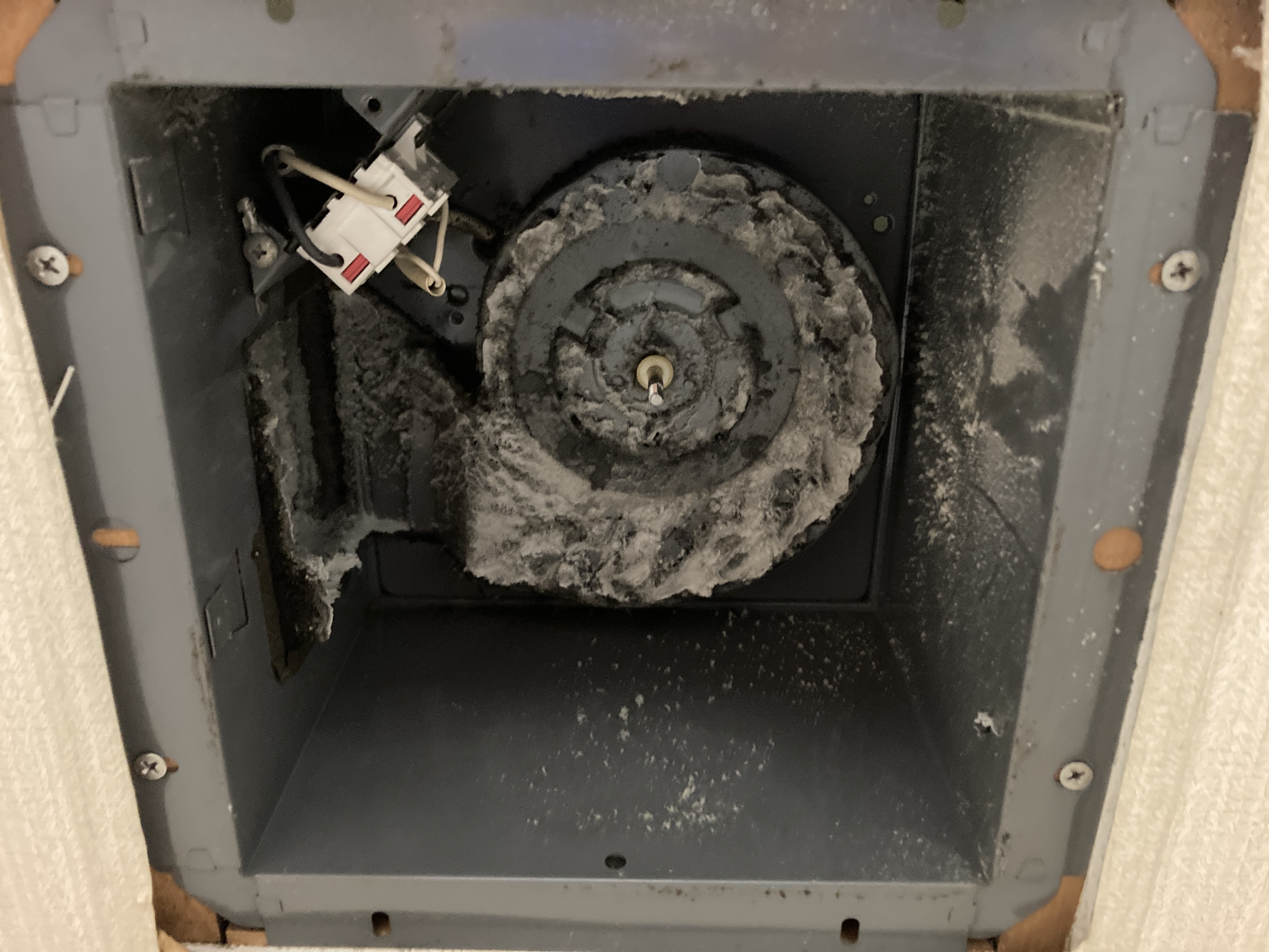 京都府京都市伏見区桃山町松平筑前のトイレクリーニングの作業前3