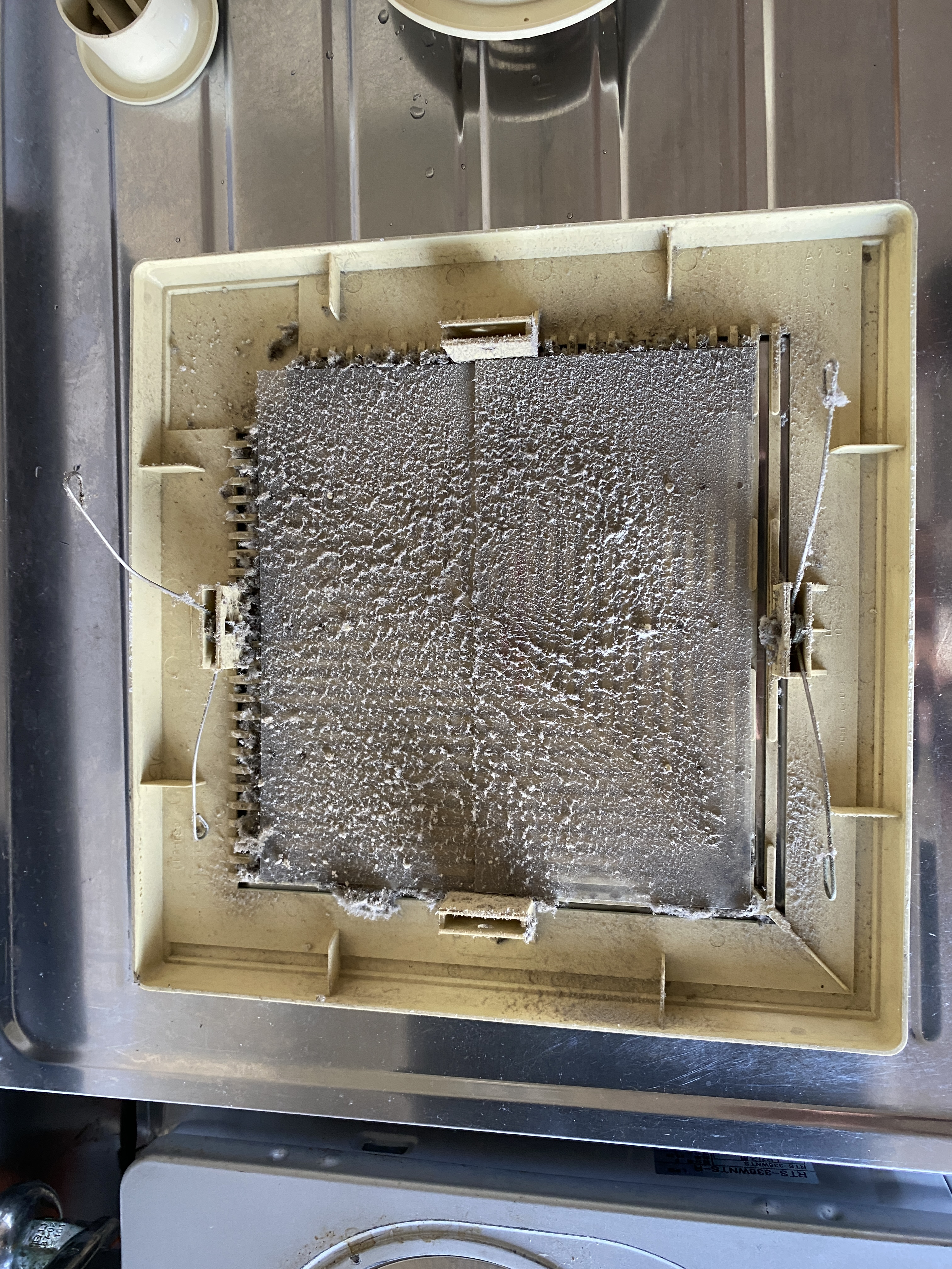 神奈川県横浜市旭区二俣川１丁目の賃貸住宅退去後の原状回復クリーニングの作業前3