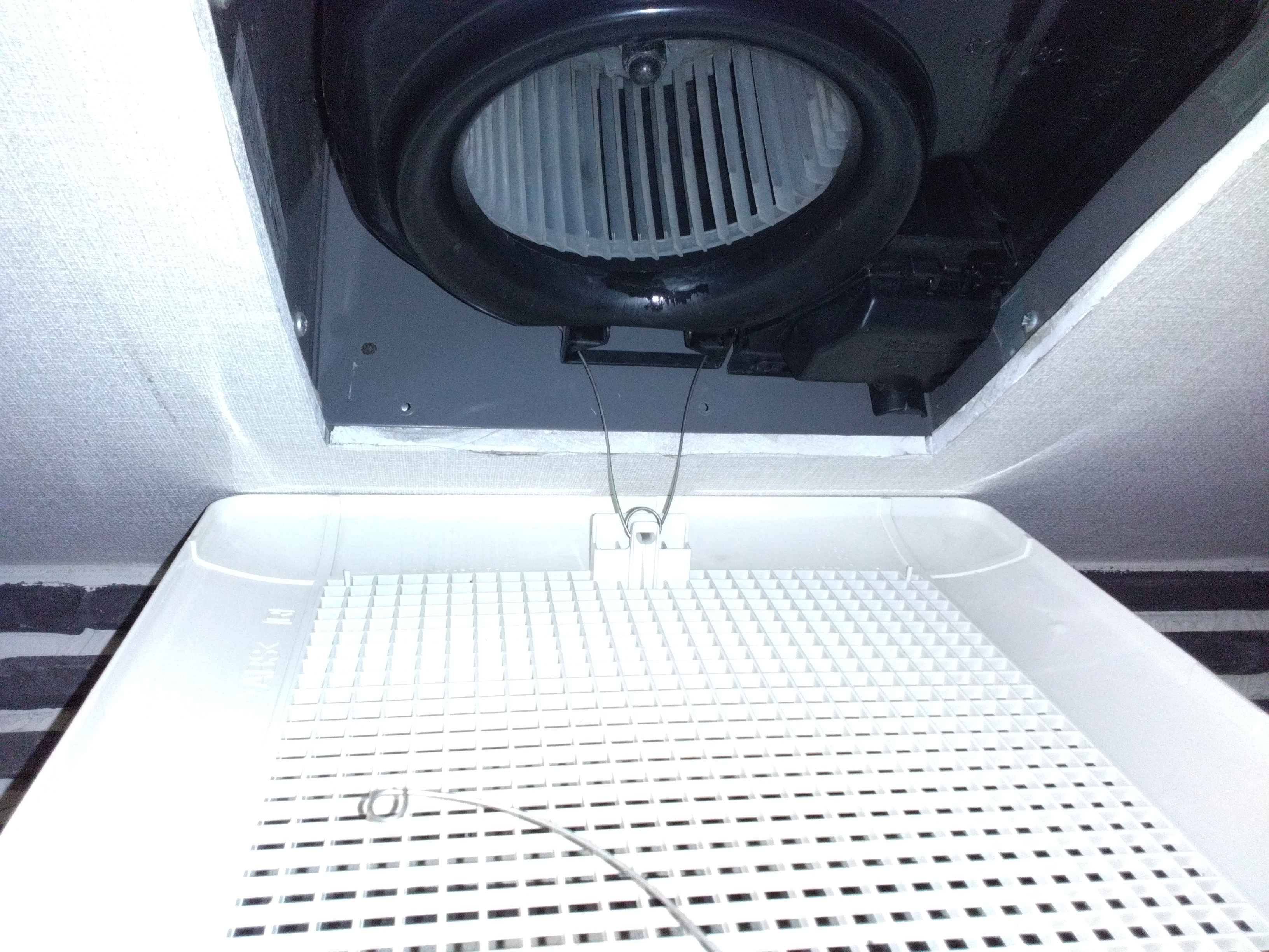 東京都新宿区大久保の教育施設清掃の作業後1