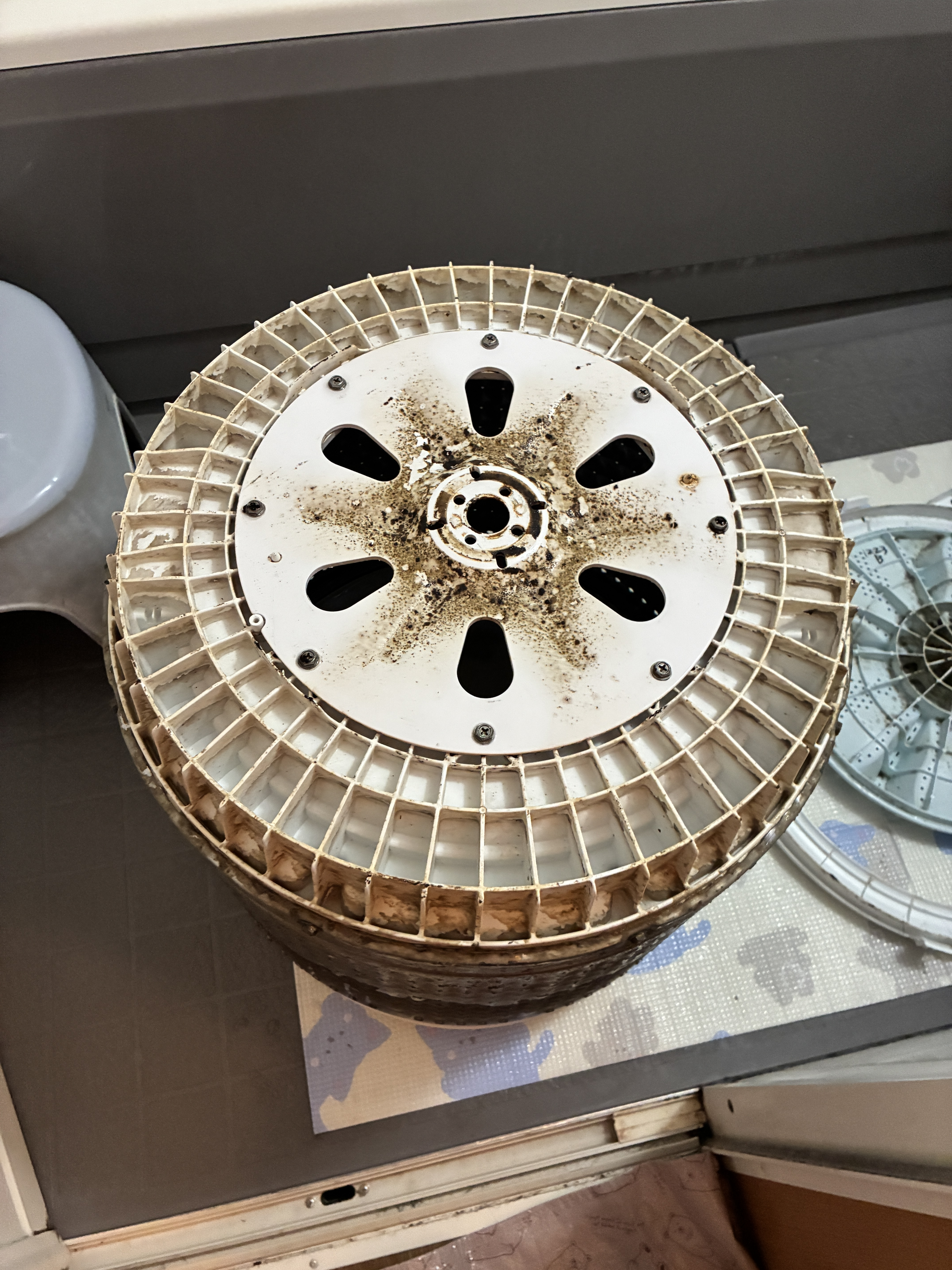 大阪府東大阪市の洗濯機分解クリーニングの作業前2