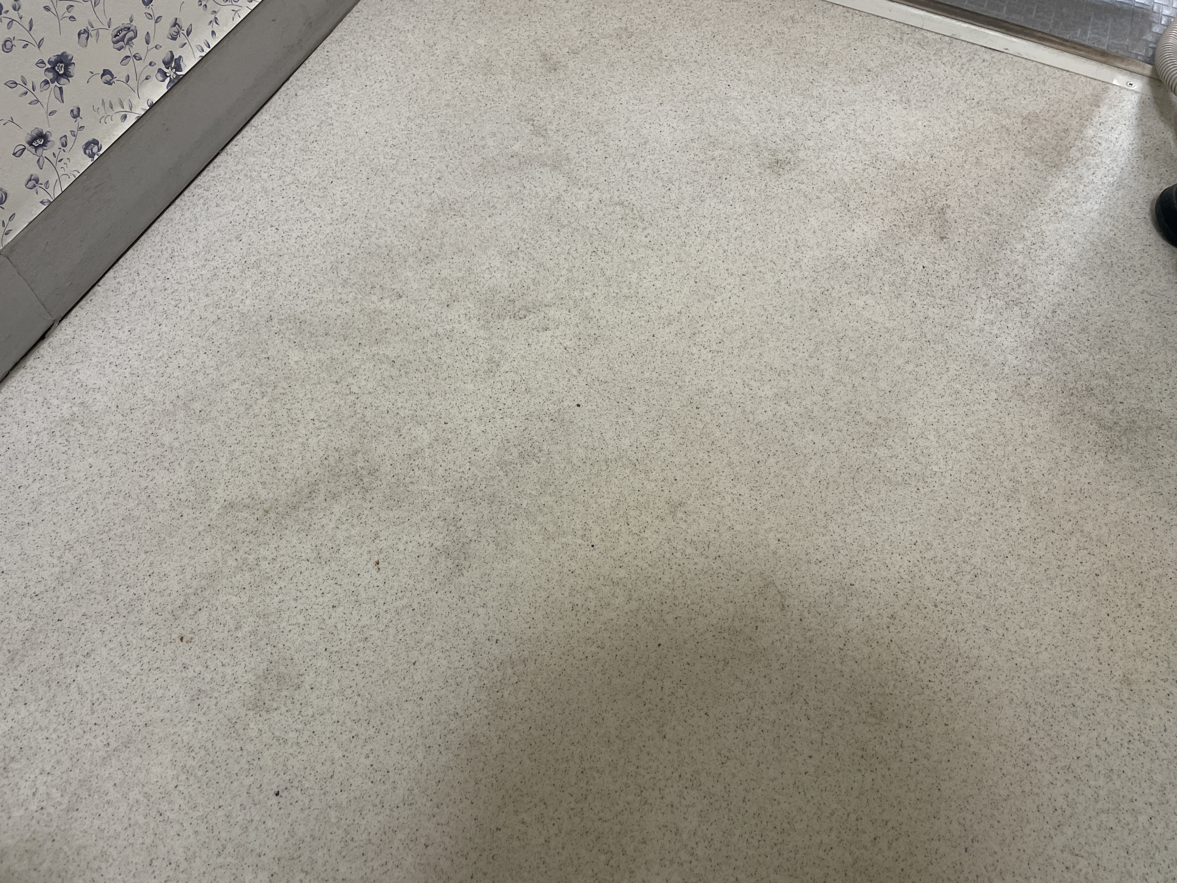 神奈川県横浜市南区の何でもわがまま定額サービスの作業前1