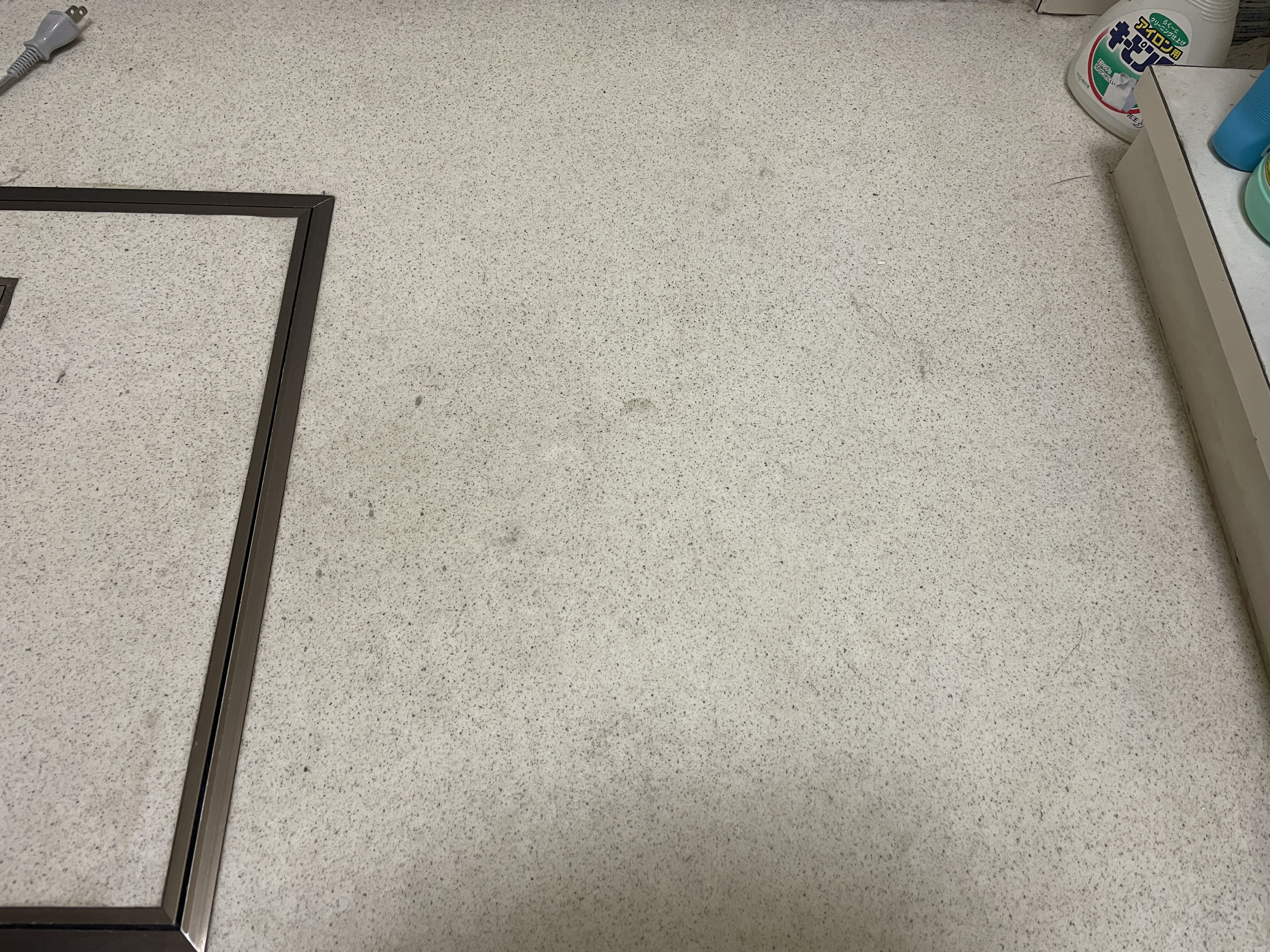 神奈川県横浜市南区の何でもわがまま定額サービスの作業前2