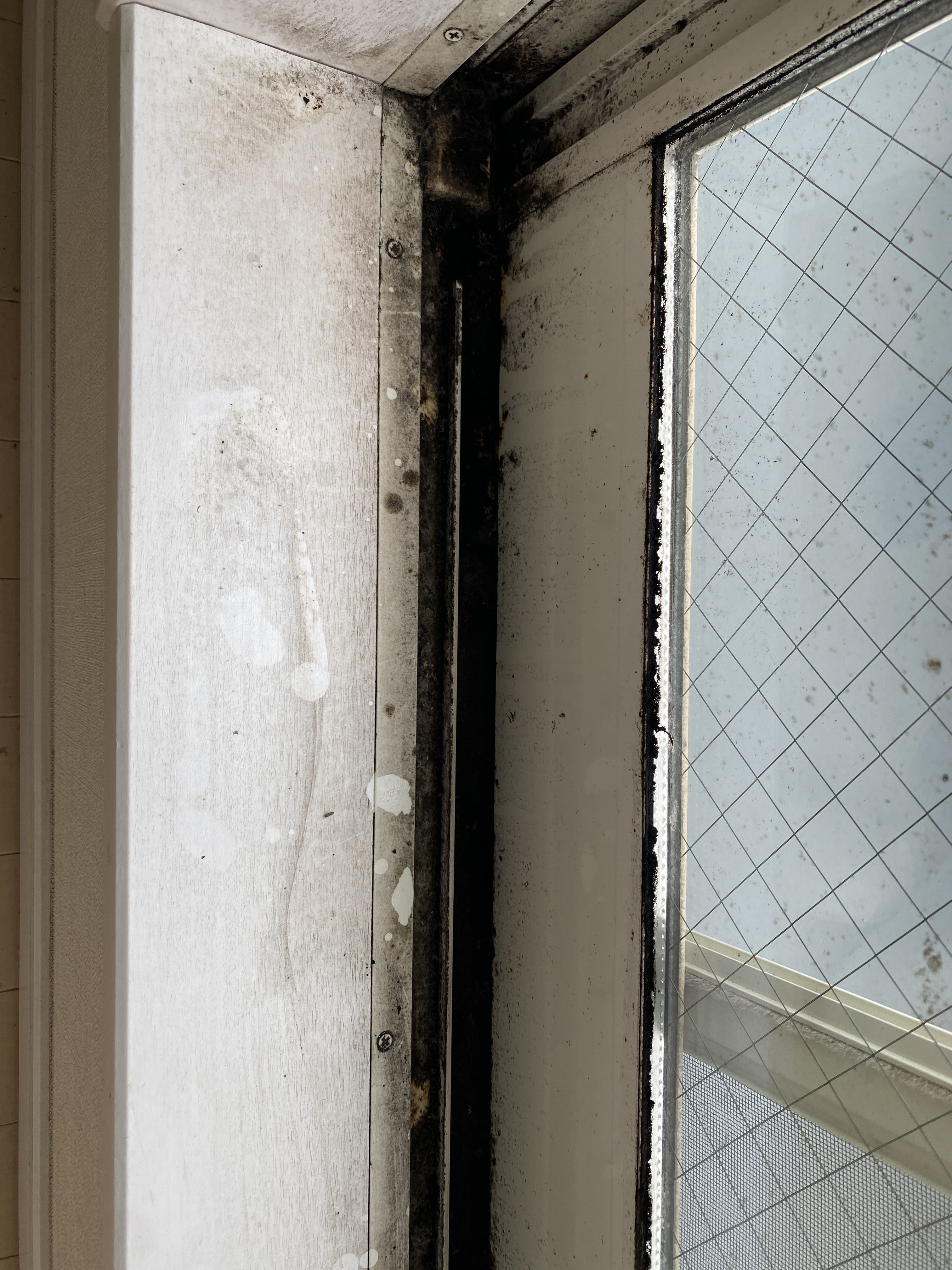 神奈川県横浜市鶴見区駒岡のマンション・戸建て売却前の徹底クリーニングの作業前3