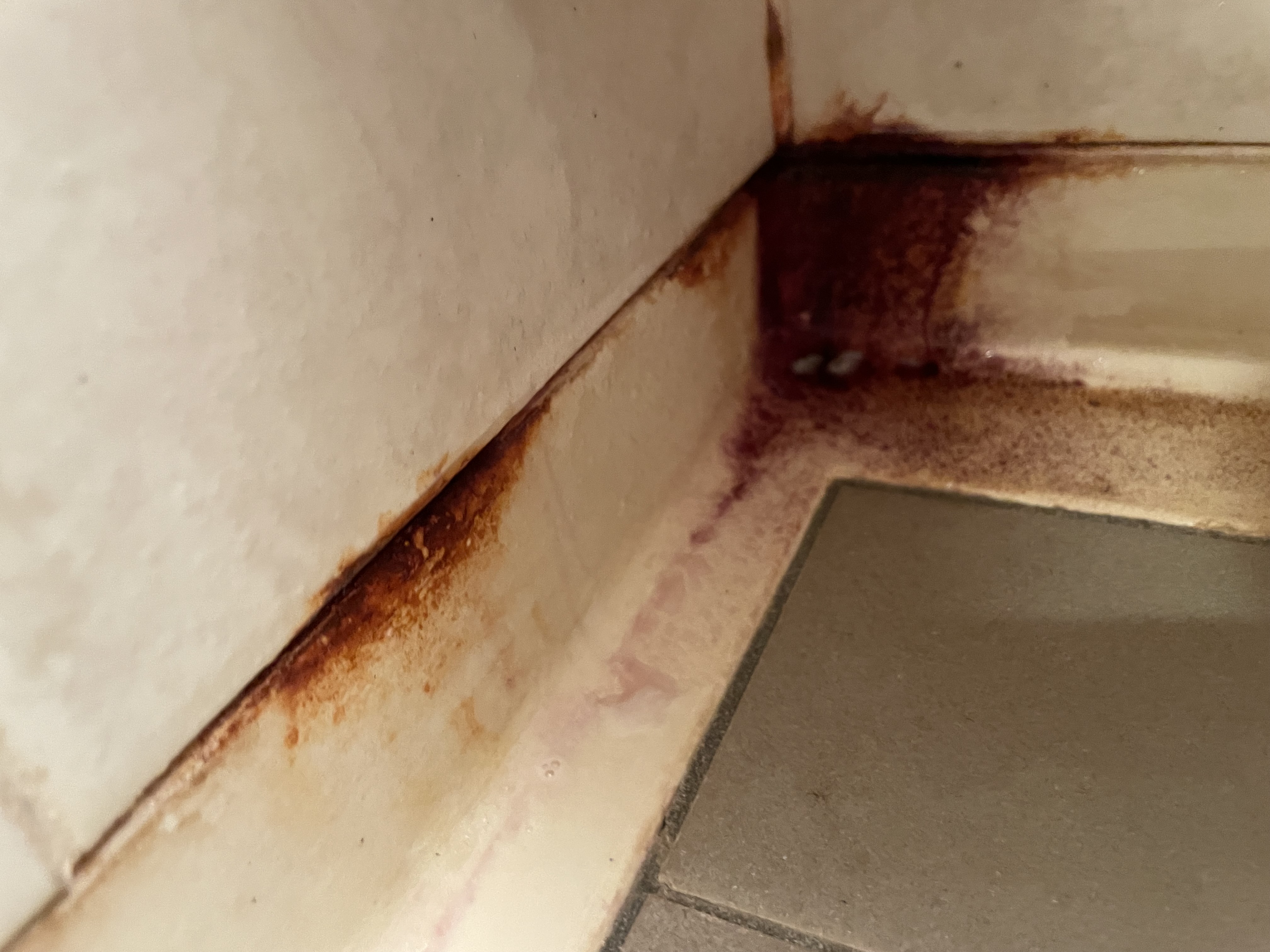 千葉県浦安市東野の浴室・お風呂クリーニングの作業前1