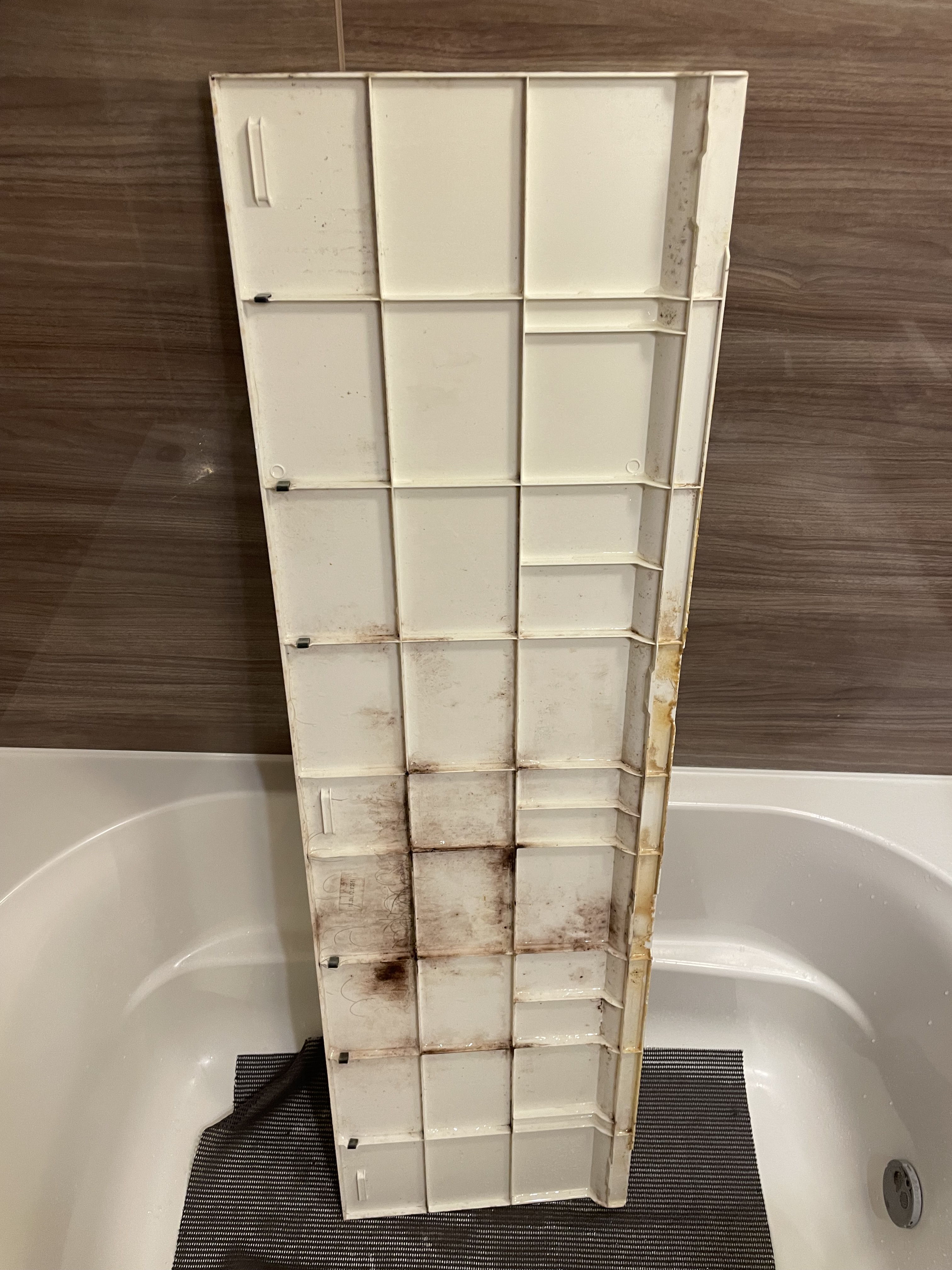 東京都新宿区西早稲田の浴室・お風呂クリーニングの作業前1