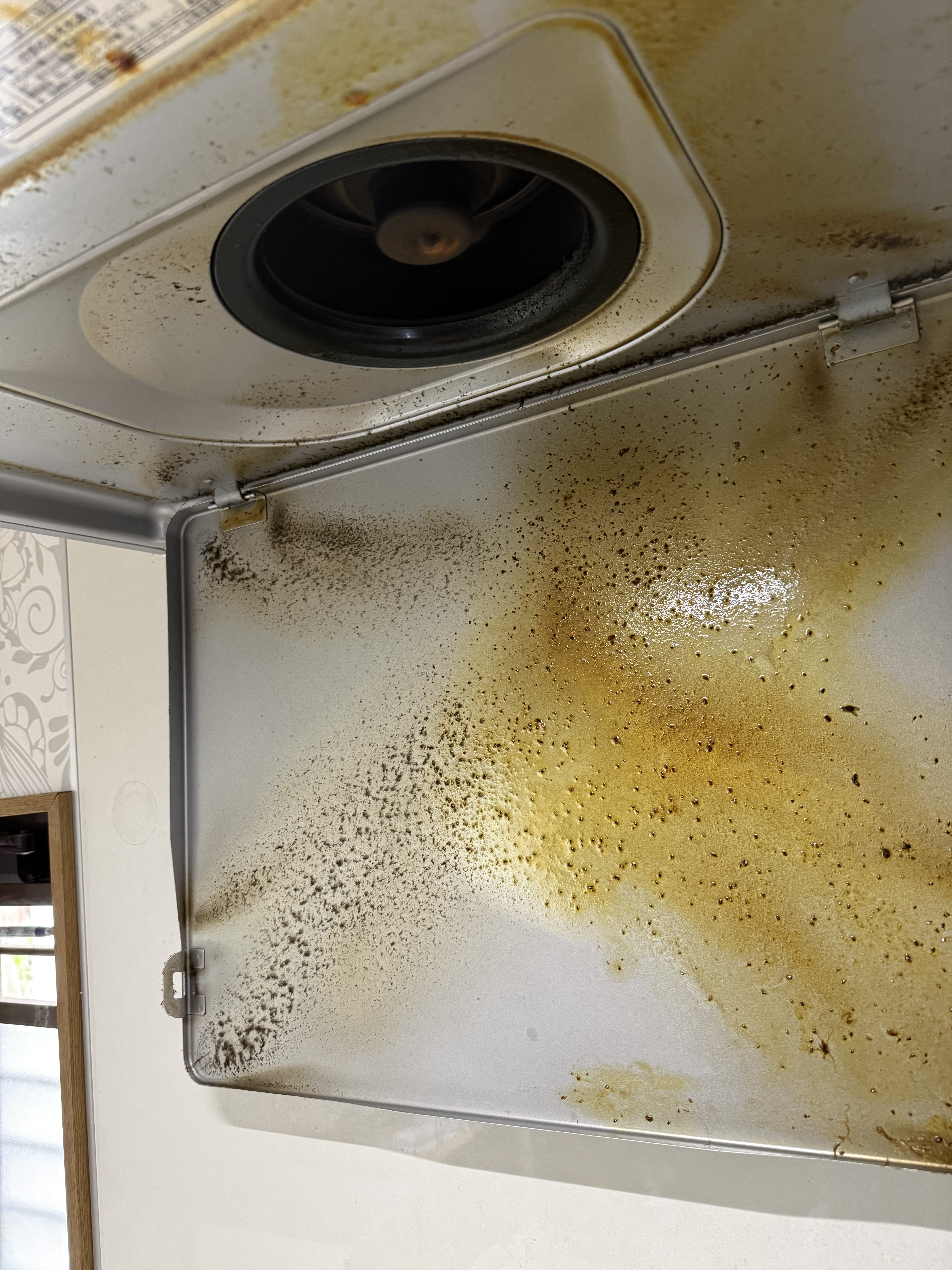 千葉県八千代市のレンジフードクリーニングの作業前1